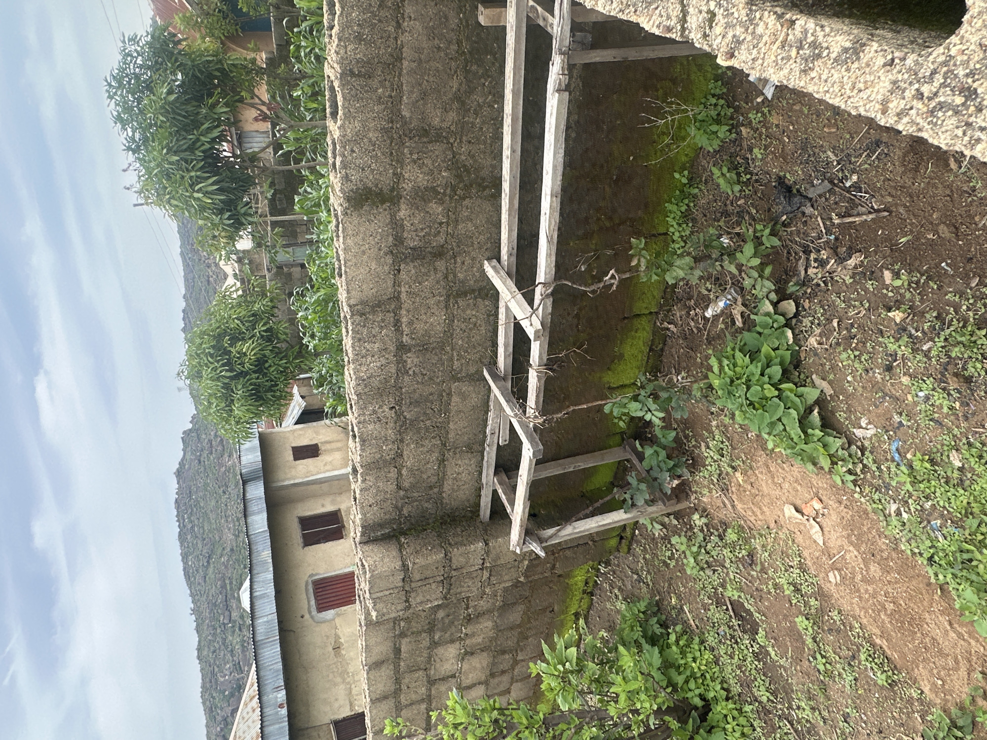 The image shows a view of a residential area on Rukuba Road, Nigeria, under an overcast sky. In the foreground, a rough, concrete wall runs horizontally across the frame, with a section of it appearing to be a drainage channel or foundation on the right. To the left of the wall, there is a patch of dirt and low-lying green vegetation.
Behind this wall, a more substantial, weathered concrete block wall stretches across the midground, forming a boundary. In front of this wall, there is a rudimentary, wooden structure supported by posts, with horizontal wooden planks forming a tiered frame. This structure appears to be a trellis or a frame for climbing plants. Below the wooden structure and against the concrete wall, there is a strip of green moss and weeds. Beyond the wall, several buildings are visible. The closest building on the left has a corrugated metal roof and beige-colored walls with red-framed windows. To the right of this building, there are trees with dense green foliage, likely mango trees, and rows of corn stalks. Further in the background, more buildings and a rocky, tree-covered hillside are visible. The ground in the immediate foreground is a mix of dirt, small green plants, and some scattered debris, including plastic bottles and burnt material.