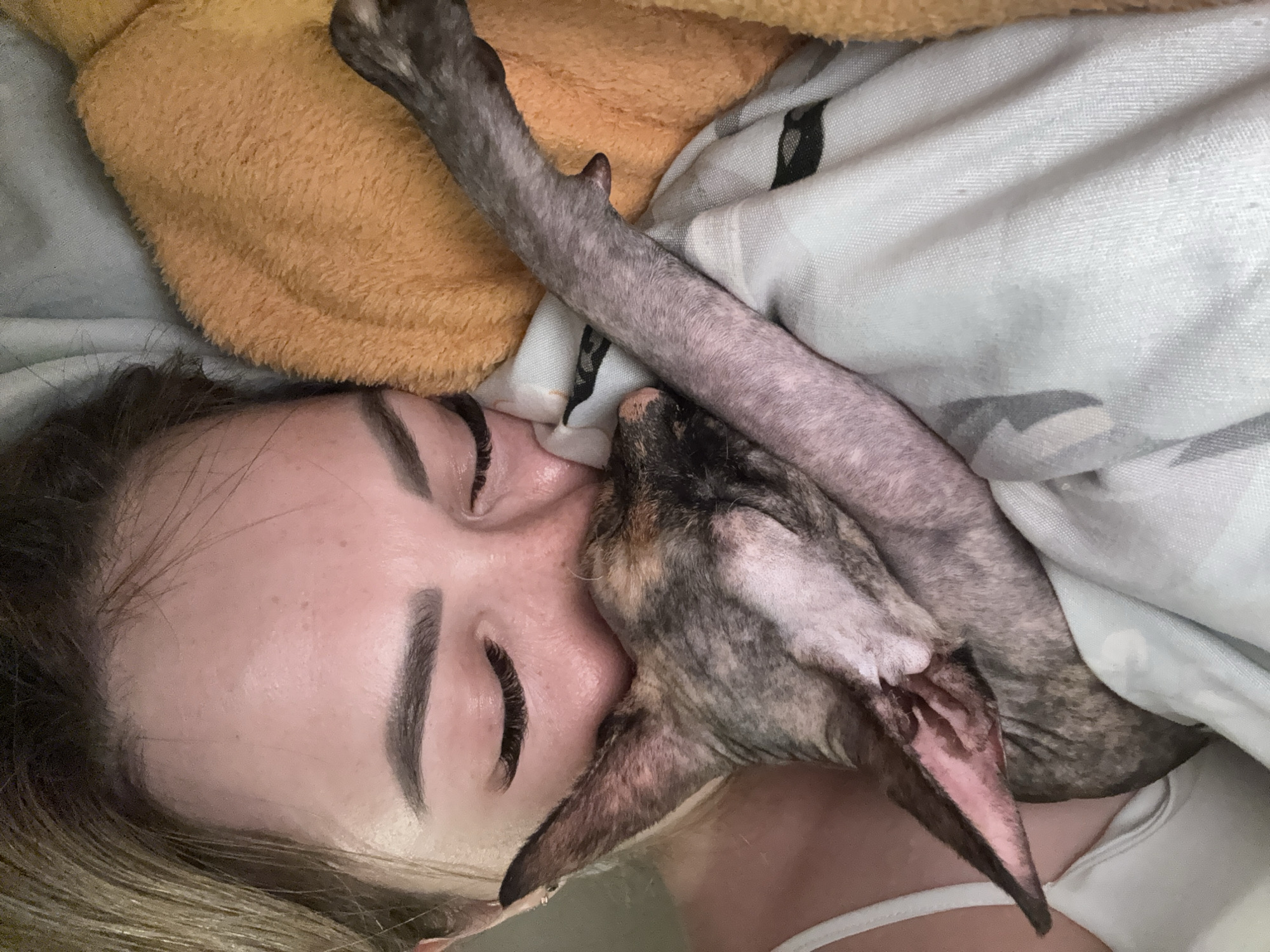 A close-up, eye-level shot captures a young person sleeping with a hairless cat. The person's eyes are closed, and their face is turned to the side, nestled against the cat. The cat is also sleeping, with its body curled up and its head resting on the person's face. The two are wrapped in blankets. The environment is cozy and intimate, suggesting a peaceful moment of rest. The person's hair is visible, framing their face. The cat has a distinctive patterned coat and large ears. The overall scene conveys a sense of comfort and companionship. The location is not specified in the provided context.