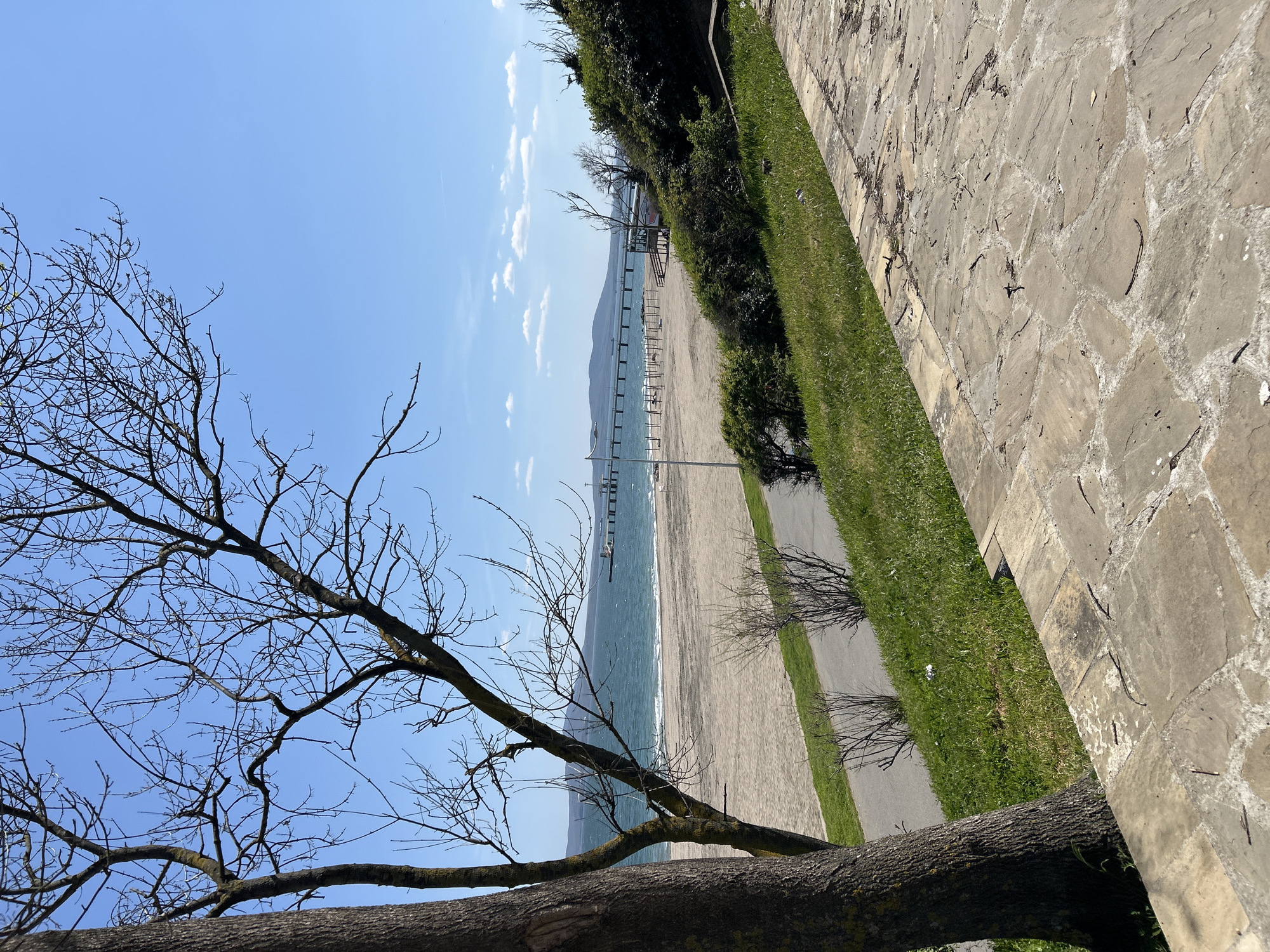 A peaceful coastal scene unfolds under a clear blue sky with scattered white clouds, likely late morning or early afternoon given the bright sunlight. In the foreground, the sturdy, textured trunk of a large deciduous tree stretches across the bottom of the frame, with its bare branches reaching upwards and across the left side, indicating early spring or late autumn.
Beyond the tree, a wide sandy beach slopes gently towards the calm, turquoise waters of the sea. A long, narrow pier extends far into the water from the beach, with small structures or posts visible along its length. In the distance, across the water, low-lying mountains or hills line the horizon.
To the right of the beach and extending along the middle ground, there is a paved area constructed from irregular flagstones, bordered by a strip of vibrant green grass. Beyond the grass, a dense line of green bushes and smaller trees creates a natural barrier. No people are visible on the beach or pier, contributing to a tranquil and serene atmosphere. There is no visible text in the image.