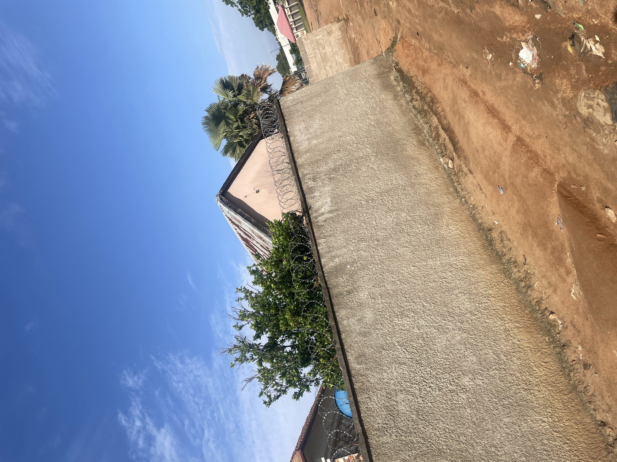 This image depicts a sunlit scene in Jalingo, Nigeria, focusing on the exterior of a residential property. A tall, textured concrete wall dominates the foreground, its rough surface catching the light. Above the wall, barbed wire coils are clearly visible, suggesting security measures. Behind the wall, a lush green tree with dense foliage partially obscures a pink-hued building with a corrugated metal roof. To the right of this building, a large fan palm tree stands prominently. The ground in front of the wall is a reddish-brown, dusty earth, with evidence of tire tracks and scattered debris. In the background, a low brick wall extends to the right, and further down the path, other structures with red roofs can be seen. The sky above is a vibrant blue, dotted with wispy white clouds. The overall impression is of a typical urban landscape in Nigeria, with a mix of residential housing, natural vegetation, and the practicalities of securing property.