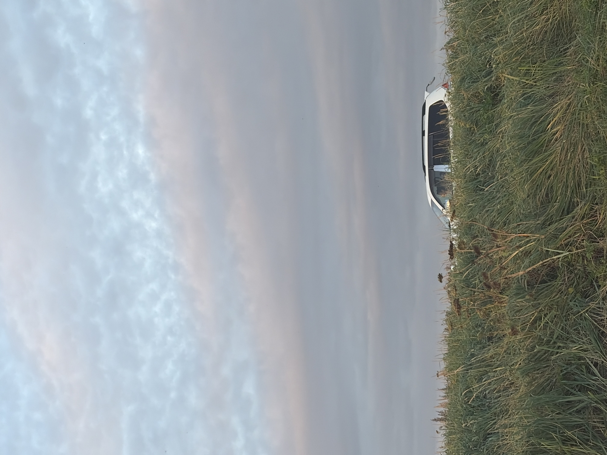 A white SUV is driving on a road behind a tall grassy field. The sky is cloudy with pastel colors. The time of day appears to be sunset or sunrise.