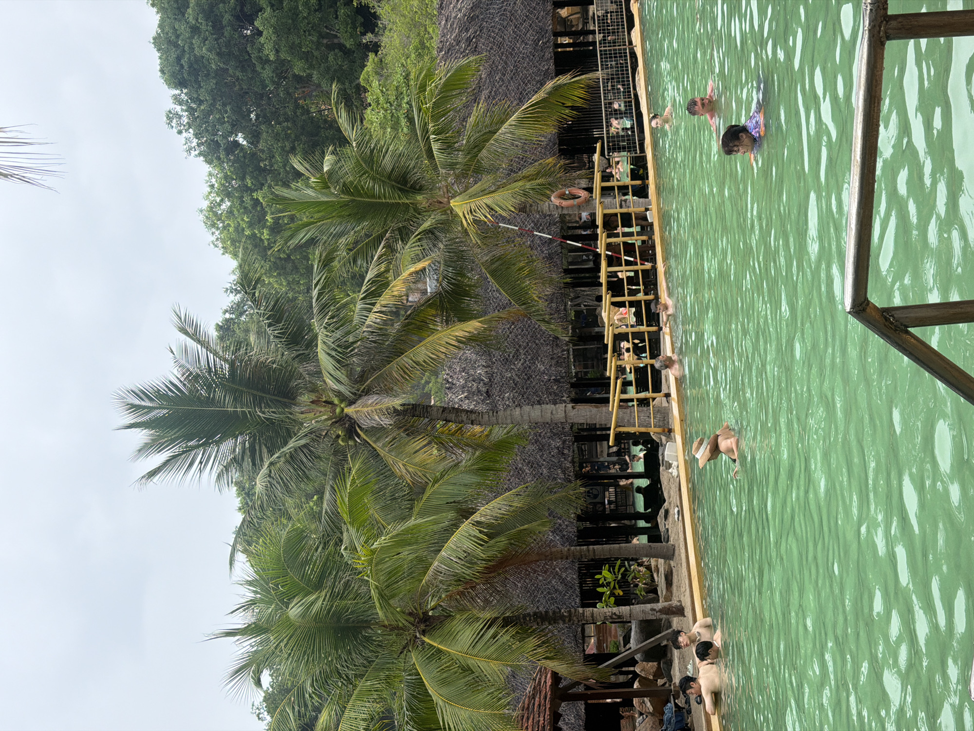 The image depicts a crowded outdoor swimming pool, likely a resort or natural hot spring, with clear, bright green water. Several people are visible in the water, some swimming and others relaxing near the edge. In the background, there are thatched-roof buildings and lush green trees, characteristic of a tropical environment. Tall palm trees with fronds arch over the scene, and a wooden railing runs along the edge of the pool. The sky is overcast, suggesting a temperate but possibly humid climate. The presence of palm trees and the style of the buildings strongly suggests a location in Nha Trang, Vietnam, a coastal city known for its beaches and resorts. The overall atmosphere is one of leisure and recreation.