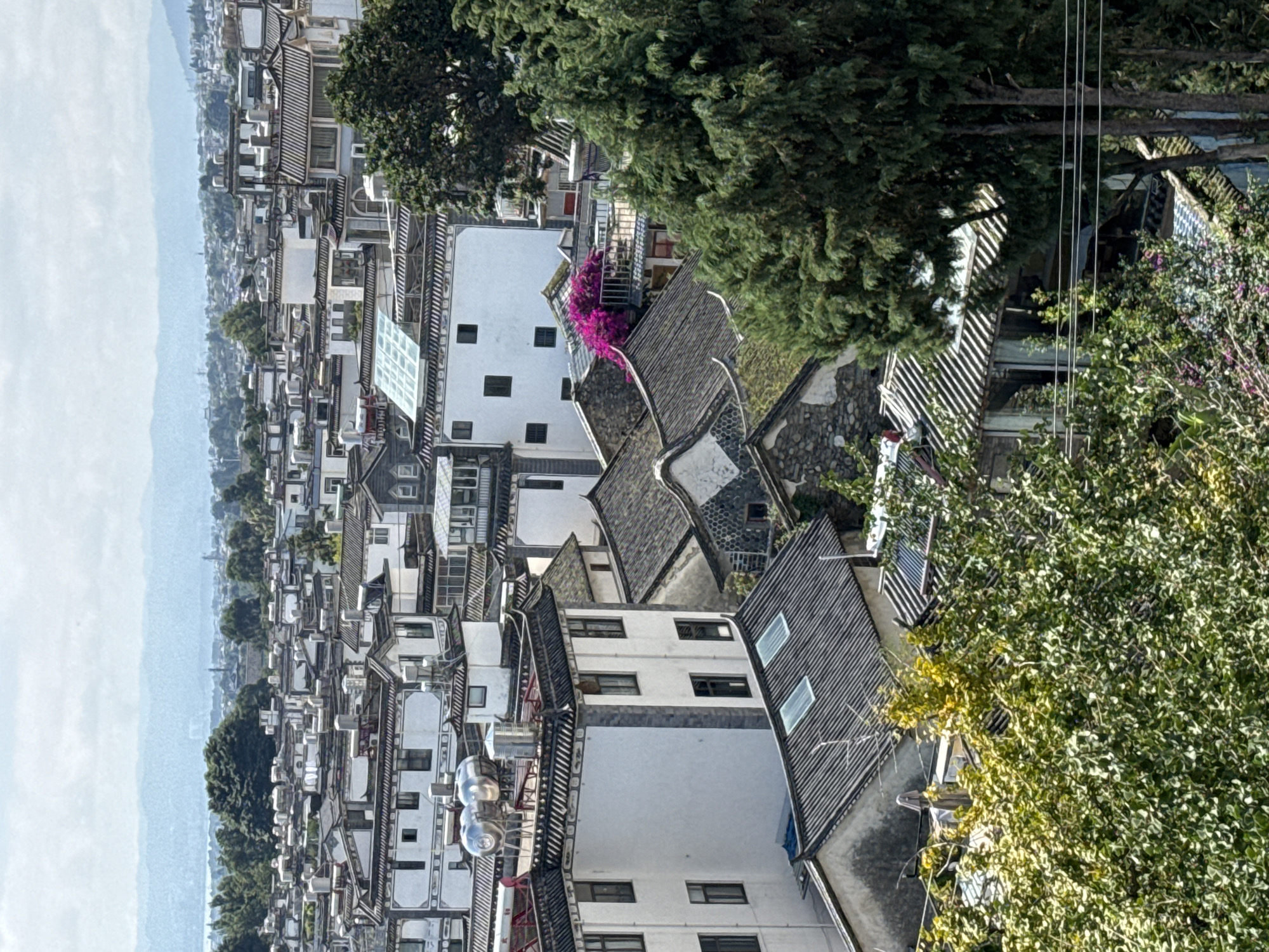The image shows a dense urban landscape with traditional architecture in Dali City, China. The foreground is dominated by lush green foliage, partially obscuring a view of the rooftops of a cluster of white buildings with dark tiled roofs. These buildings are characterized by their geometric shapes, often with multiple stories and visible chimneys or water tanks on the rooftops. Some buildings feature distinctive decorative trim along their edges. In the midground, traditional Chinese architectural elements are evident, such as the curved roof edges and intricate patterns. A vibrant splash of fuchsia-colored flowers stands out against the muted tones of the buildings, adding a pop of color to the scene. In the background, a hazy mountain range is visible on the horizon, suggesting the city's geographical setting. The overall impression is one of a historic district within a modern city, where traditional styles coexist with contemporary elements.