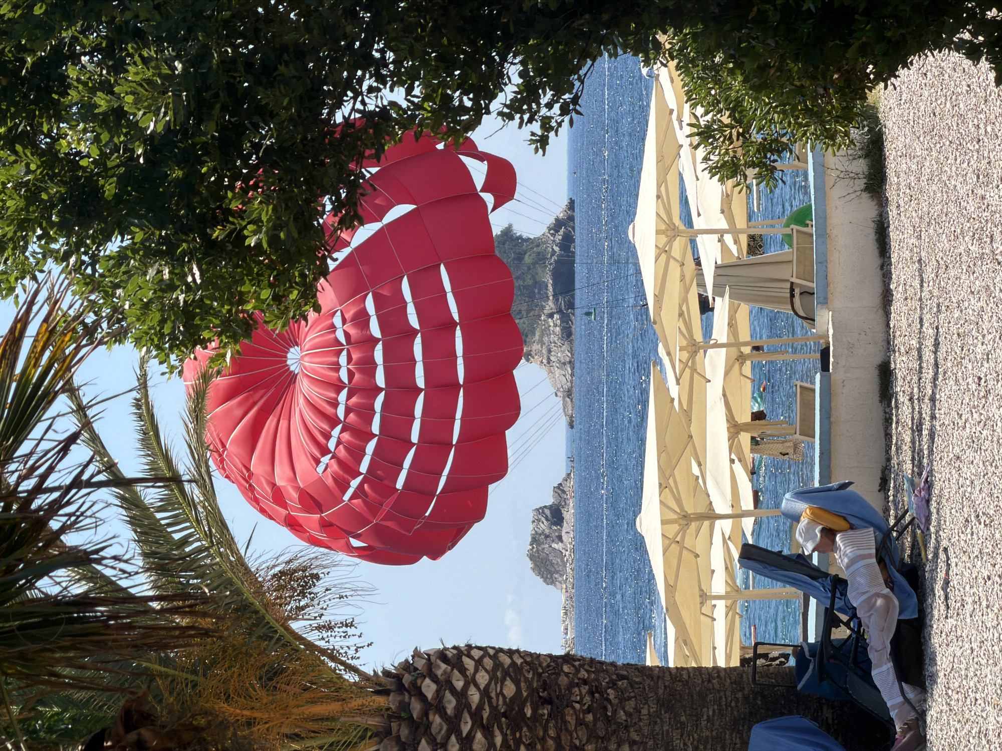 A bright red parasail dominates the upper center of the frame against a clear blue sky, partially obscured by the fronds of a palm tree on the left and dense green foliage on the right. Below the parasail, the sparkling blue Adriatic Sea is dotted with distant rocky islets. On the shore, rows of unoccupied cream-colored beach umbrellas are set up on a pebble beach. In the foreground, a person wearing a white hat and striped clothing reclines in a blue lounge chair, resting with eyes closed. The scene appears to be located on a beach in Budva, Montenegro, likely near the Budva Riviera, known for its scenic coastline and tourist activities like parasailing.