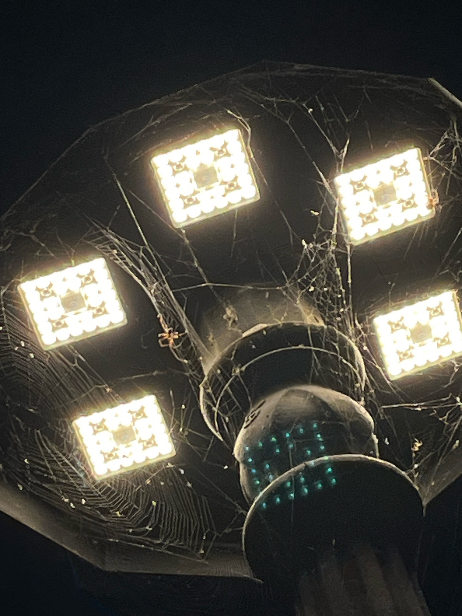 This is a close-up, nighttime photograph of a street lamp fixture covered in a dense network of spiderwebs. Five bright, square LED lights illuminate the scene, each with a grid pattern of smaller bulbs. A small, dark spider is visible on one of the webs. The base of the lamp has a textured, dark surface with several small, glowing blue lights embedded in it. The background is a dark, indistinct blur, suggesting a night sky or dark surroundings. The image appears to be taken in Krasnoyarsk, Russia, likely in an outdoor public space where such street lamps would be found. There are no people or other animals visible in the photograph, nor are there any discernable actions or interactions occurring.