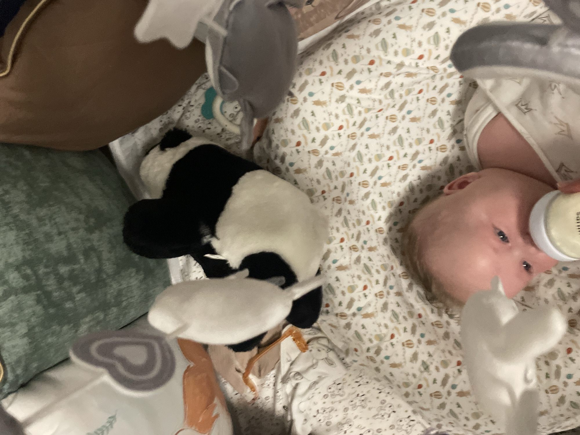 A baby lies on its back in a crib with a patterned sheet, holding a bottle. The baby has light hair and blue eyes and is wearing a white onesie. To the baby's left is a stuffed black and white cow, and to the baby's right is a grey plush toy animal. In the background, there are pillows, one of which is a soft green color. The scene is indoors, suggesting a home environment. No information about the city of Stavropol, Russia is present in the image.