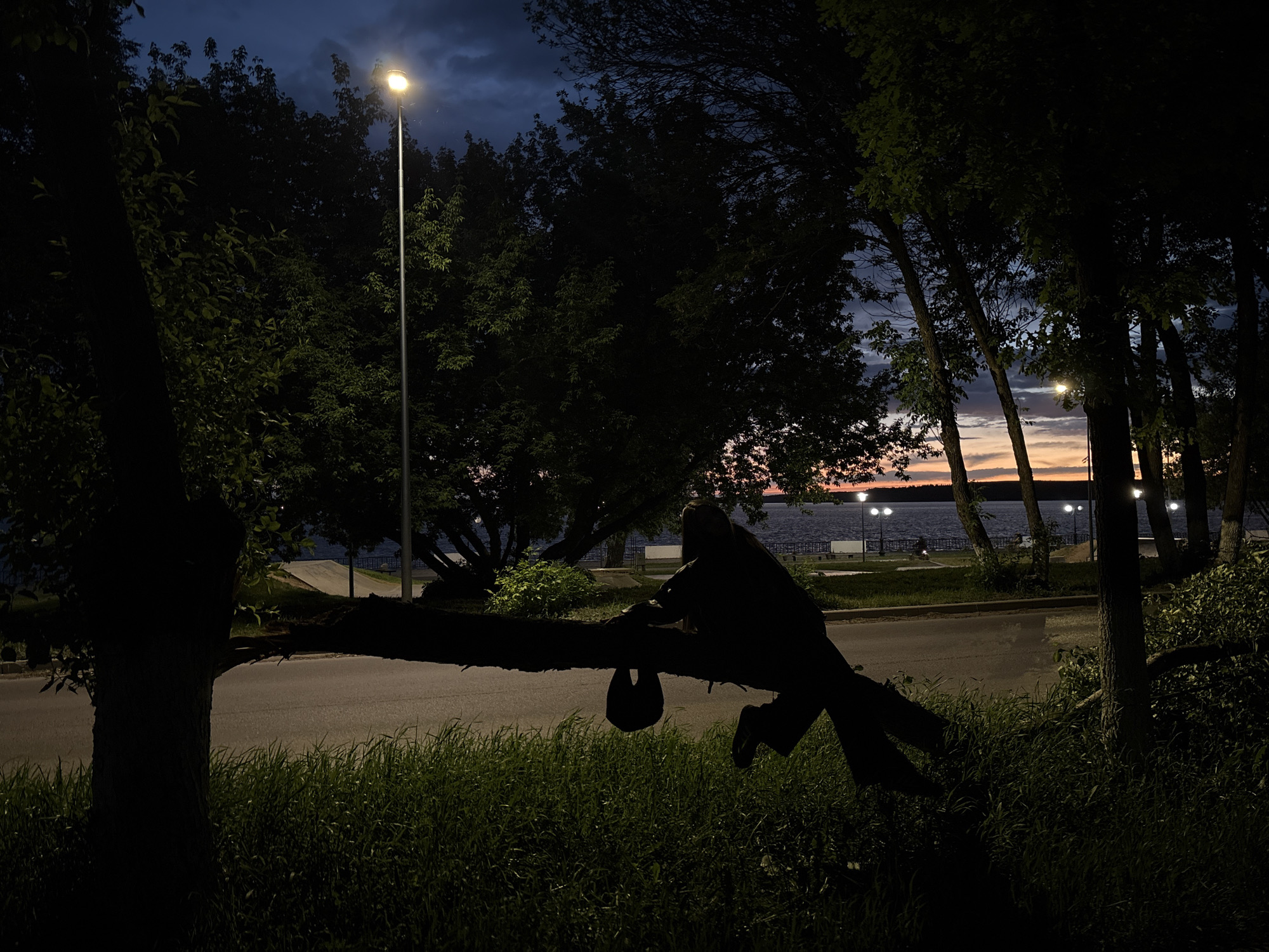 At dusk in Votkinsk, Russia, a road runs alongside a body of water lined with streetlights. A dark silhouette of a person lying prone on a fallen tree limb is visible in the foreground. A dark object that may be a bag hangs down from the limb. Trees line both sides of the road, and a lamppost is visible near the left side of the frame.
