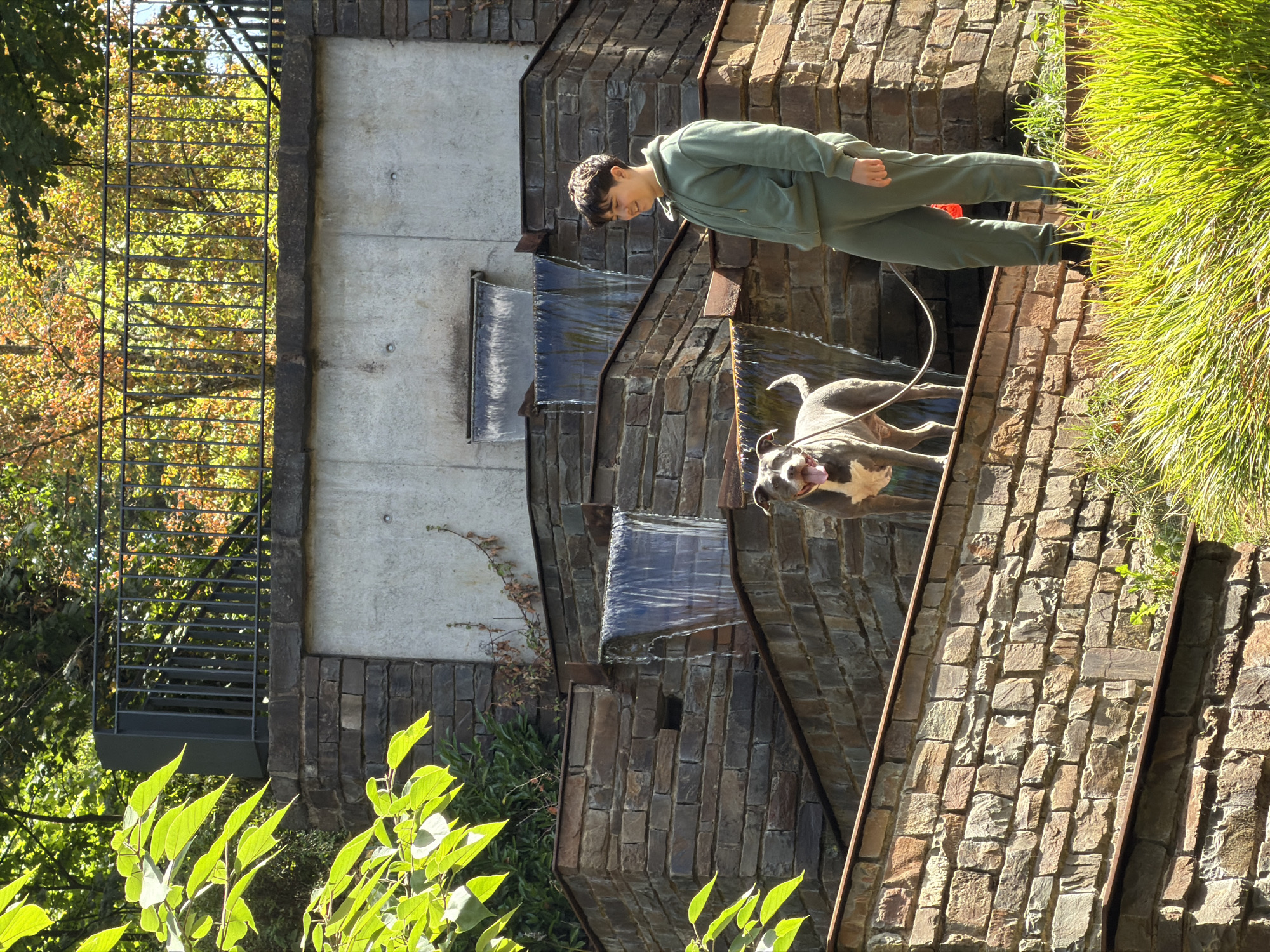 An outdoor shot features a young person in a green tracksuit and a pitbull on a leash, standing on a tiered stone structure with water cascading down. The background consists of lush greenery and trees displaying autumn foliage. The scene appears to be set in a park or garden. The specific location in Esch-sur-Alzette, Luxembourg, is not identifiable from the image.