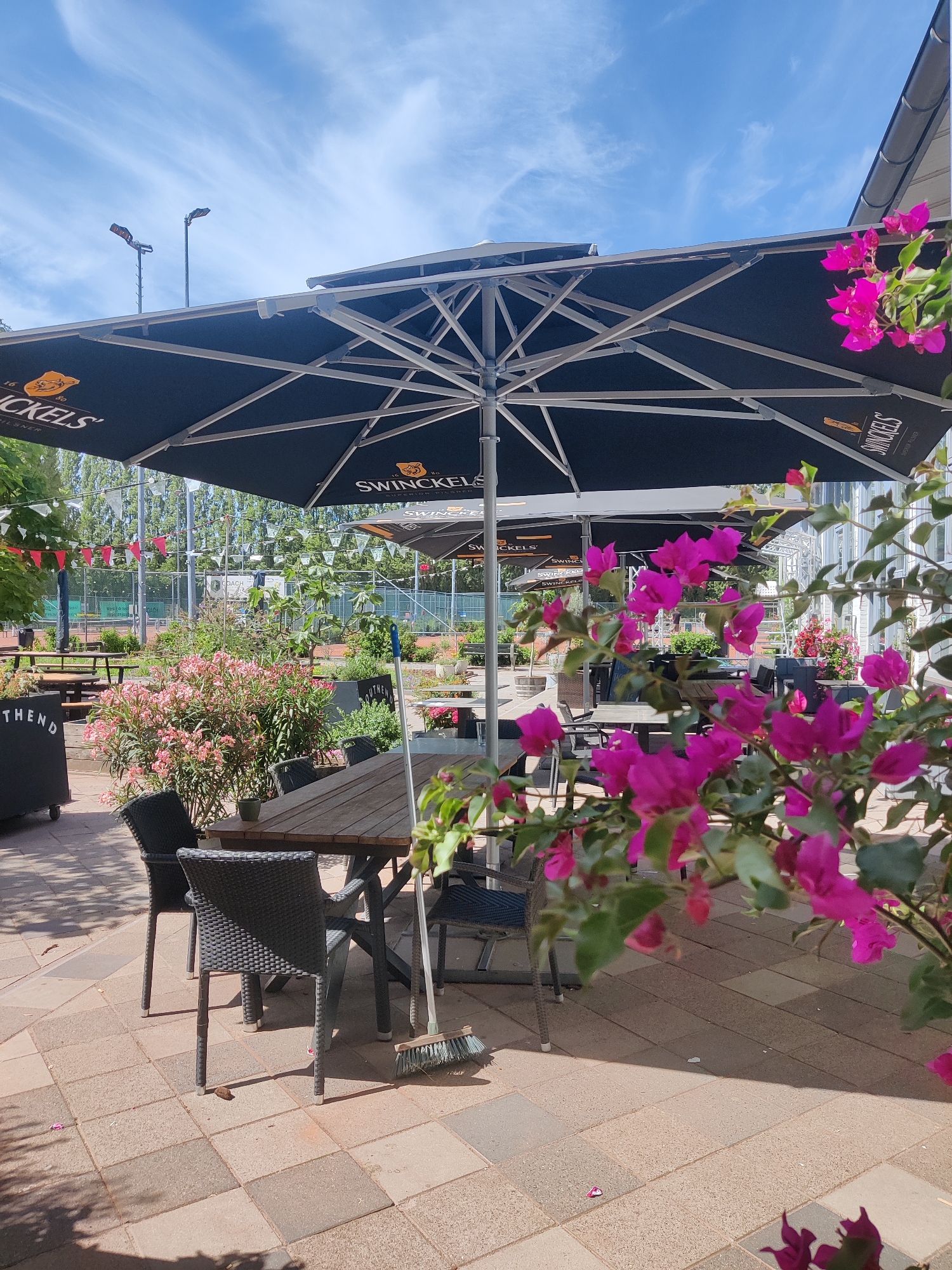 The image shows an outdoor seating area with tables and chairs under large black umbrellas, with pink bougainvillea flowers in the foreground and middle ground. In the background, a tennis court is visible with a net and fencing. The area appears to be a cafe or restaurant located at a sports club. There are no people visible in the image. The scene is set in Amsterdam, Netherlands.