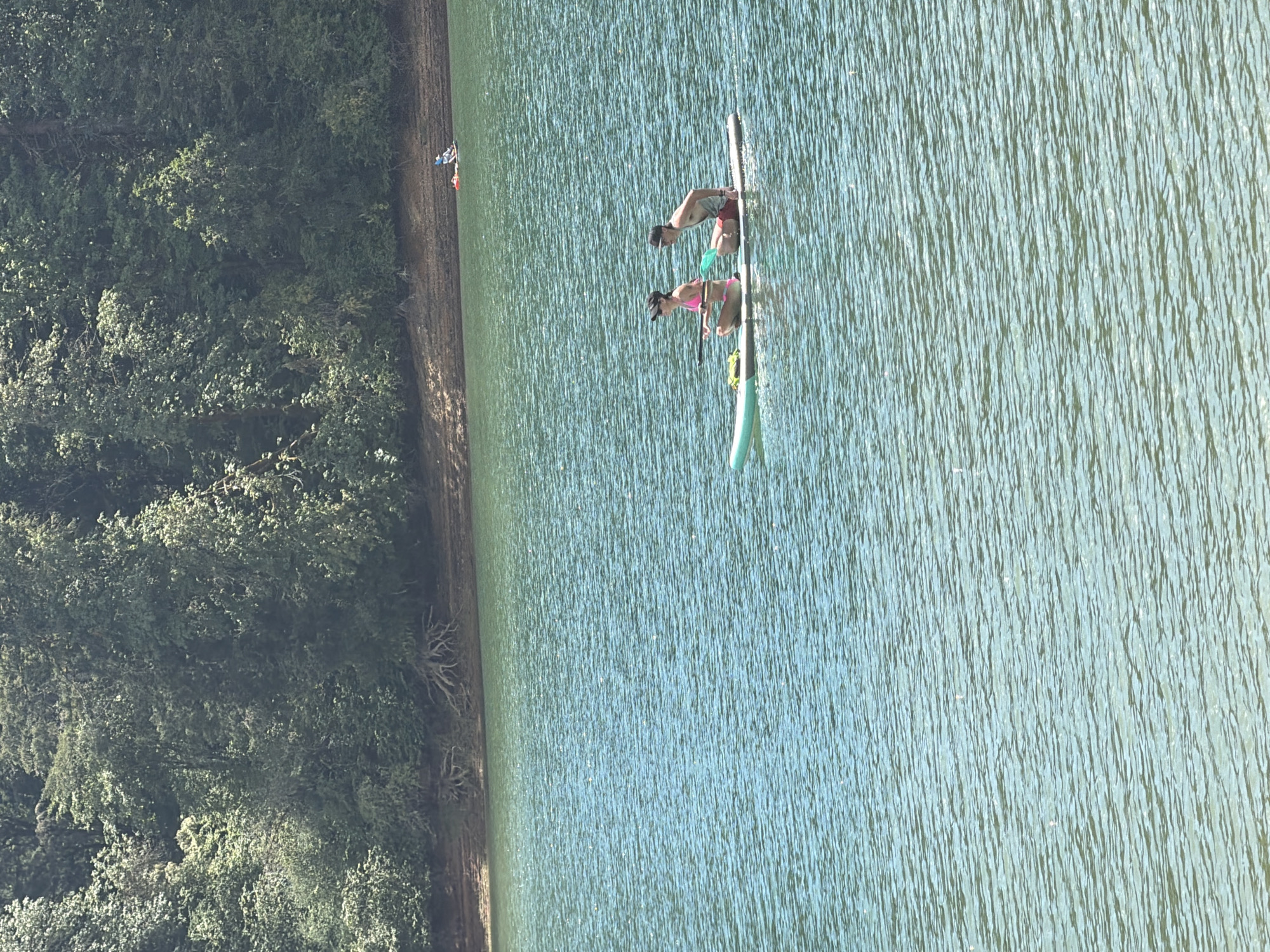 In Cherry Grove, United States, a serene lake is depicted under a bright, sunny sky. The water, a vibrant turquoise, is slightly rippled, reflecting the sunlight. On the water, a paddleboard is occupied by two individuals. A woman in a pink bikini and a black cap sits on the front, holding a paddle. A man in red shorts and a grey tank top sits behind her, also holding a paddle. They appear to be enjoying a leisurely paddleboarding session. In the background, a lush, dense forest with a variety of green trees lines the shore of the lake. The shoreline itself is a mixture of sand and exposed tree roots, hinting at the natural, undeveloped beauty of the location. Further in the distance, another person is visible on a paddleboard, adding to the sense of recreational activity on the water. The overall scene is one of peaceful outdoor enjoyment in a picturesque natural setting.