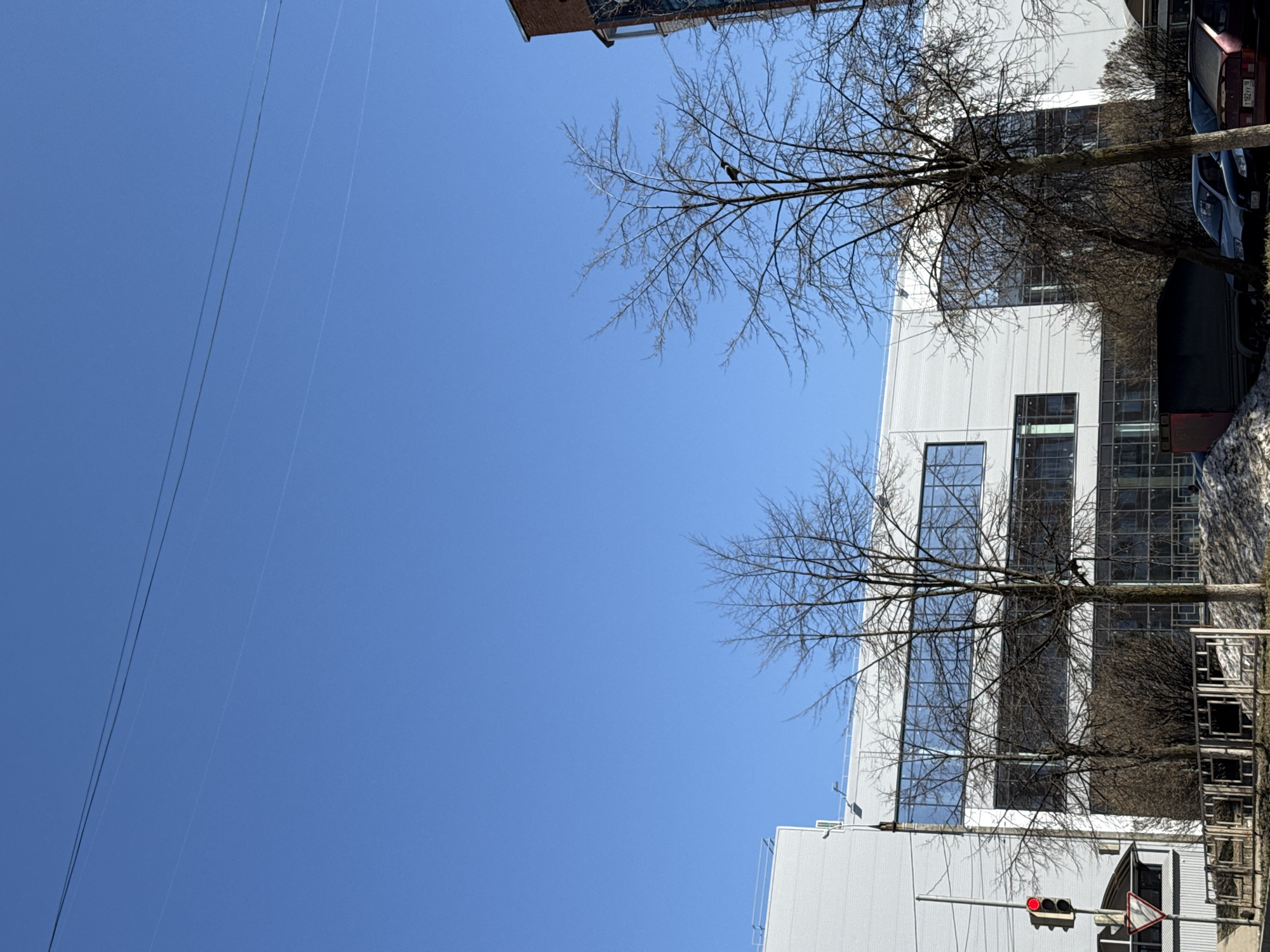 The image shows a low-angle view of a street scene in Votkinsk, Russia, on a clear, sunny day. The sky is a bright blue, bisected by a set of power lines running diagonally from the upper left. To the right, a modern white building with large, grid-patterned windows is visible. Bare tree branches frame the building, with a single bird perched on one of the branches in the upper portion. A row of parked cars is partially visible near the building, and a traffic light with a red signal is visible near the bottom of the frame, along with a yield sign. A metal fence is also present near the traffic light. The overall impression is one of a quiet urban landscape on a sunny day.