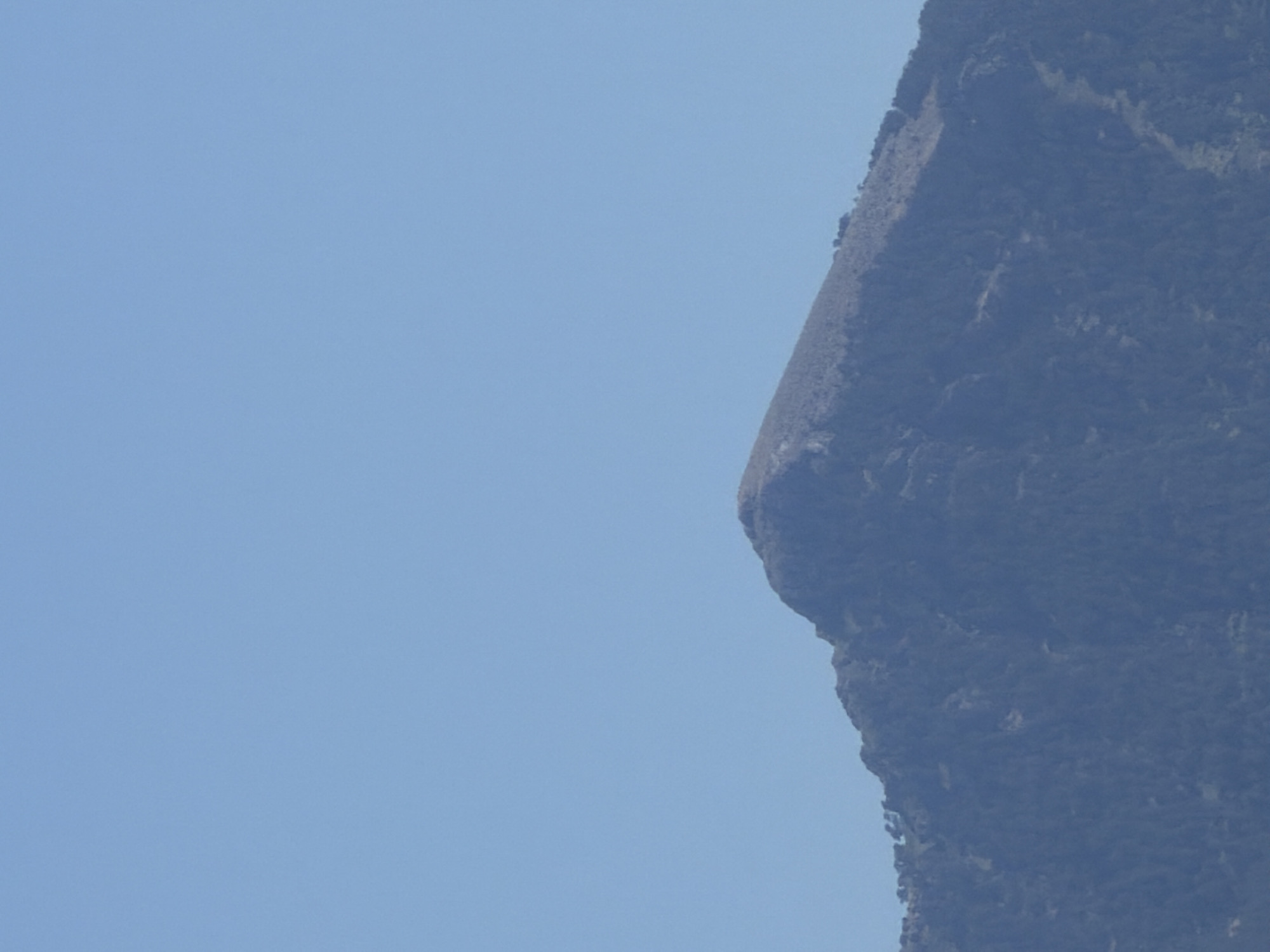 The image is a close-up shot of the peak of a mountain under a clear blue sky. The mountain is covered in dark green foliage, likely trees, with some lighter patches on the upper slopes, possibly indicating sparse vegetation or rocky areas. The peak itself is rounded and the sky is cloudless. There are no people, structures, or other objects visible in the frame. The image is a landscape shot, focusing solely on the natural topography of the mountain.