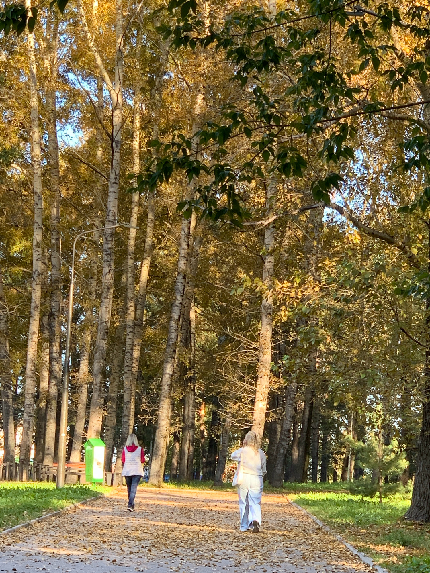 The image depicts a paved pathway in a park during autumn. The pathway is covered with fallen leaves, and bordered by grassy areas and tall trees with autumnal foliage. Two individuals are walking away from the viewer on the path. The first person, on the left, is wearing a pink top, a white vest, and dark pants. To their left, a bright green recycling bin and a park bench are visible. The second person, further down the path, is wearing a light-colored outfit and is walking in the same direction. In the background, a dense line of trees with yellowing leaves creates a natural backdrop. The scene suggests a calm, outdoor environment. The metadata indicates the location as Prokopyevsk, Russia.