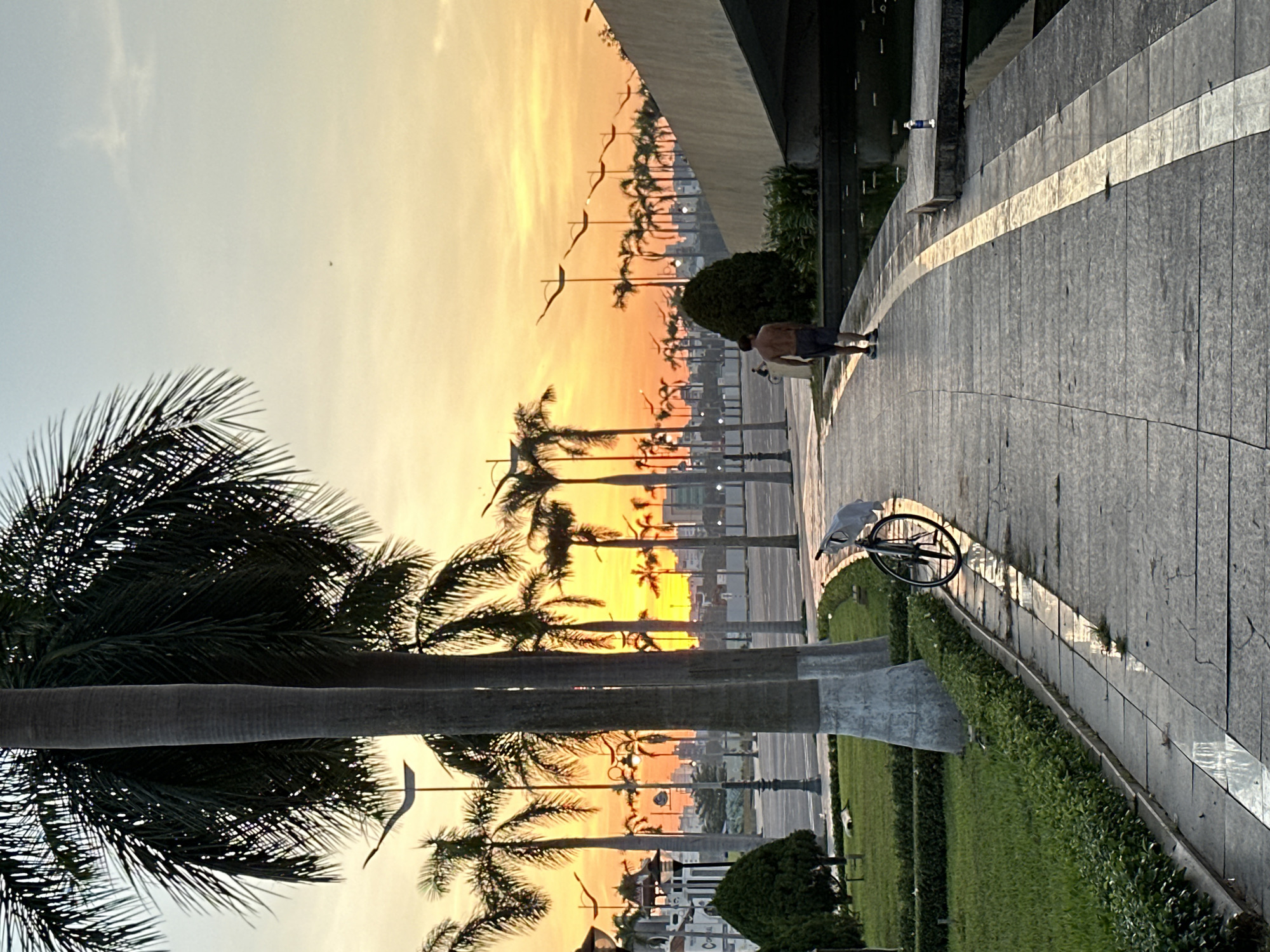 The image depicts a sunset scene along the Han River in Da Nang, Vietnam. A man, shirtless and wearing shorts, walks away from the camera on a paved pathway. To his left, a bicycle is parked near a row of palm trees. The pathway is bordered by manicured green lawns and bushes. In the background, a row of streetlights with unique curved designs lines the road, and more palm trees are visible against the orange and yellow hues of the sunset sky. A concrete bridge structure is visible on the right side of the image. The scene suggests a peaceful evening stroll or commute.