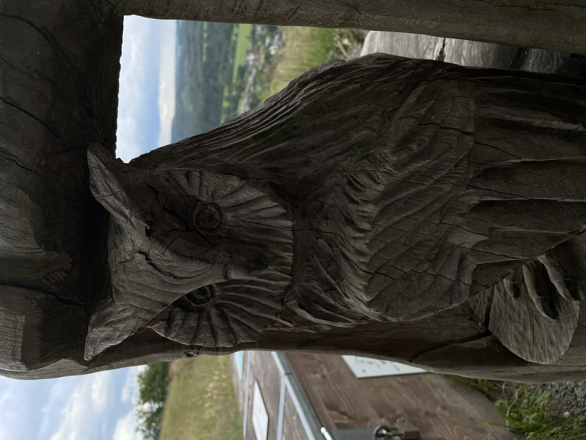 A close-up, eye-level, outdoor shot shows a weathered, dark brown wooden carving of an owl. The owl's face is detailed, with carved concentric circles forming its eyes and facial disc. The body of the owl is carved with vertical lines suggesting feathers. The carving is partially obscured by a dark wooden frame structure, creating a framing effect. In the background, out of focus, is a scenic landscape of rolling green hills and a distant village under a cloudy sky. To the left of the owl carving, a portion of a wooden structure with metal accents and a padlock is visible. The ground is covered with gravel and sparse green grass. The image is taken in a rural, outdoor setting.