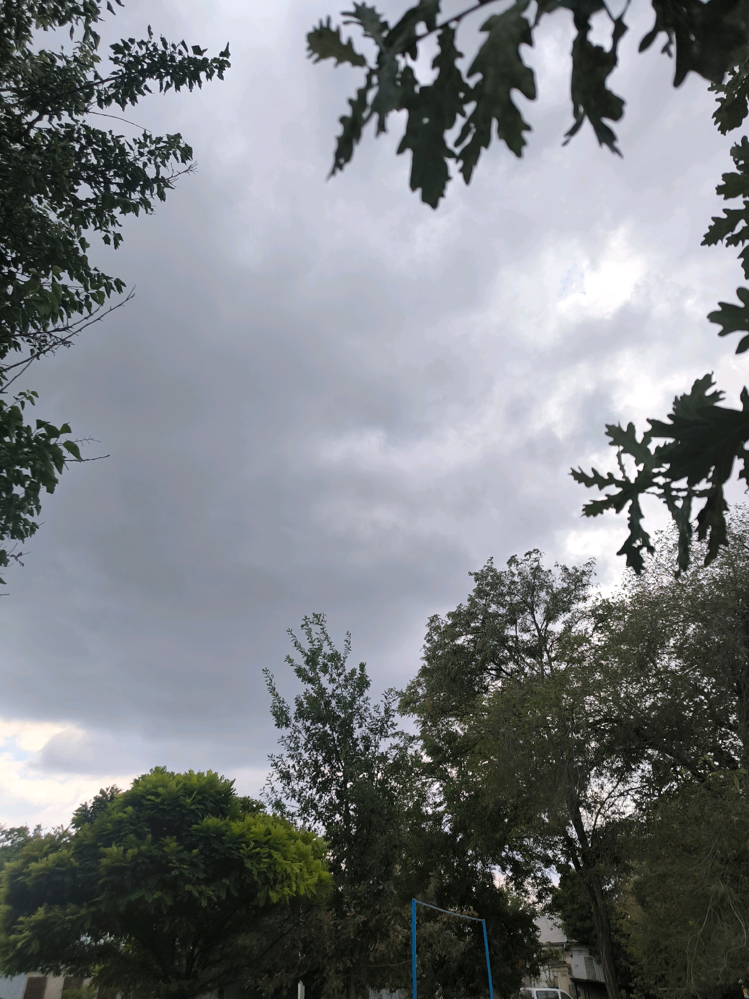 A cloudy, overcast sky is visible through a canopy of trees. The trees are lush and green, with some leaves appearing to be on the verge of changing color. In the lower part of the image, a blue swing set structure is visible. The scene appears to be a residential area, possibly a park or backyard, in the city of Mykolaiv, Ukraine.
