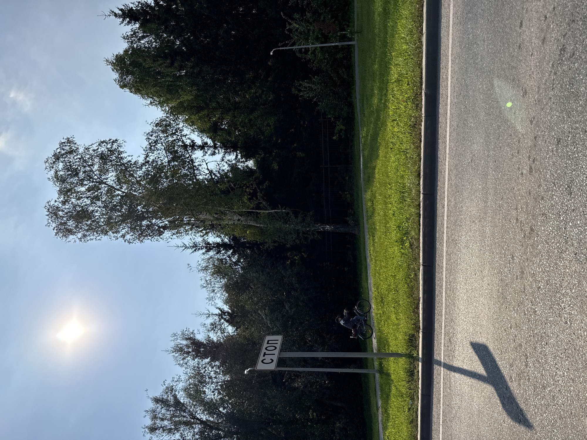 In a bright, sunny outdoor scene, a person rides a bicycle on a paved path adjacent to a road. The path is bordered by a well-maintained green grassy area. A tall, slender tree stands in the background, behind the path and grass. To the left of the path, a white sign with black lettering reads "СТОП" (STOP in Russian) mounted on a pole. The sky is clear and blue with the sun shining brightly, creating a long shadow from the stop sign pole on the road. The road itself appears to be a two-lane asphalt road with a white line marking the lane. A line of trees forms a dark green backdrop behind the grassy area, suggesting a park or wooded residential area. A light pole is visible further down the path.