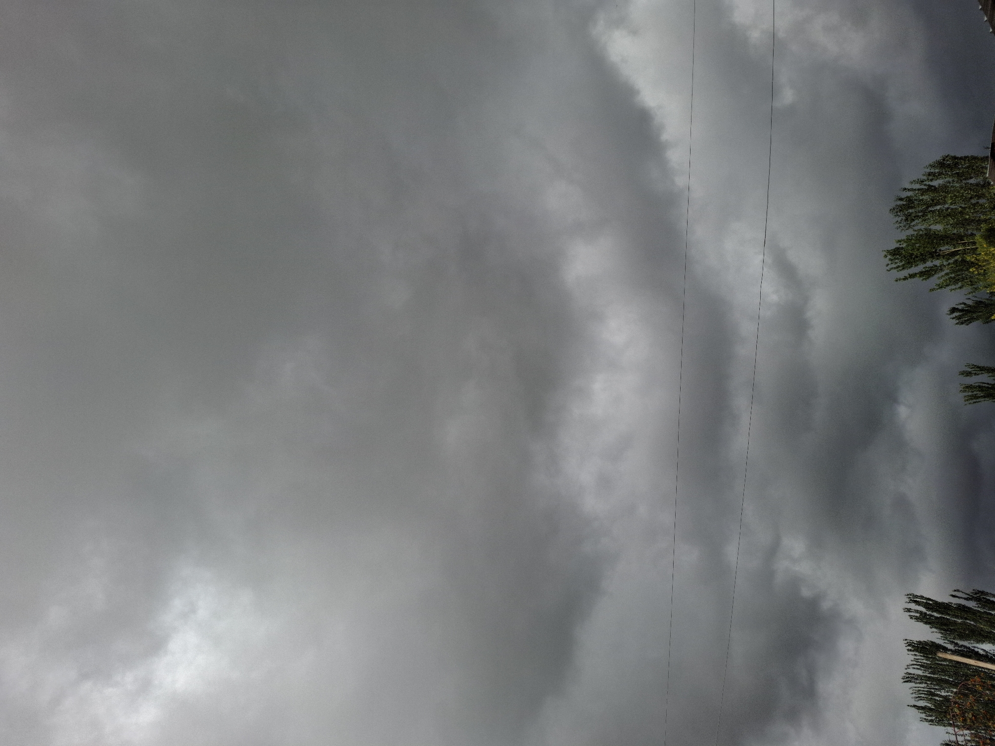 The image depicts a cloudy sky over a section of the city of Jeti-Ögüz, Kyrgyzstan. The sky is filled with dense, dark gray clouds, suggesting an overcast or potentially stormy day. Two thin, horizontal wires are visible against the clouds, likely power lines or communication cables, stretching across the frame. In the lower part of the image, the tops of several trees are visible, their foliage appearing green and lush. The trees are silhouetted against the darker sky, with some appearing taller and more numerous on the left side of the frame. The overall scene is characteristic of an outdoor environment in a moderately populated area, with a focus on the atmospheric conditions and the natural elements of trees. There are no people or visible actions or interactions depicted.