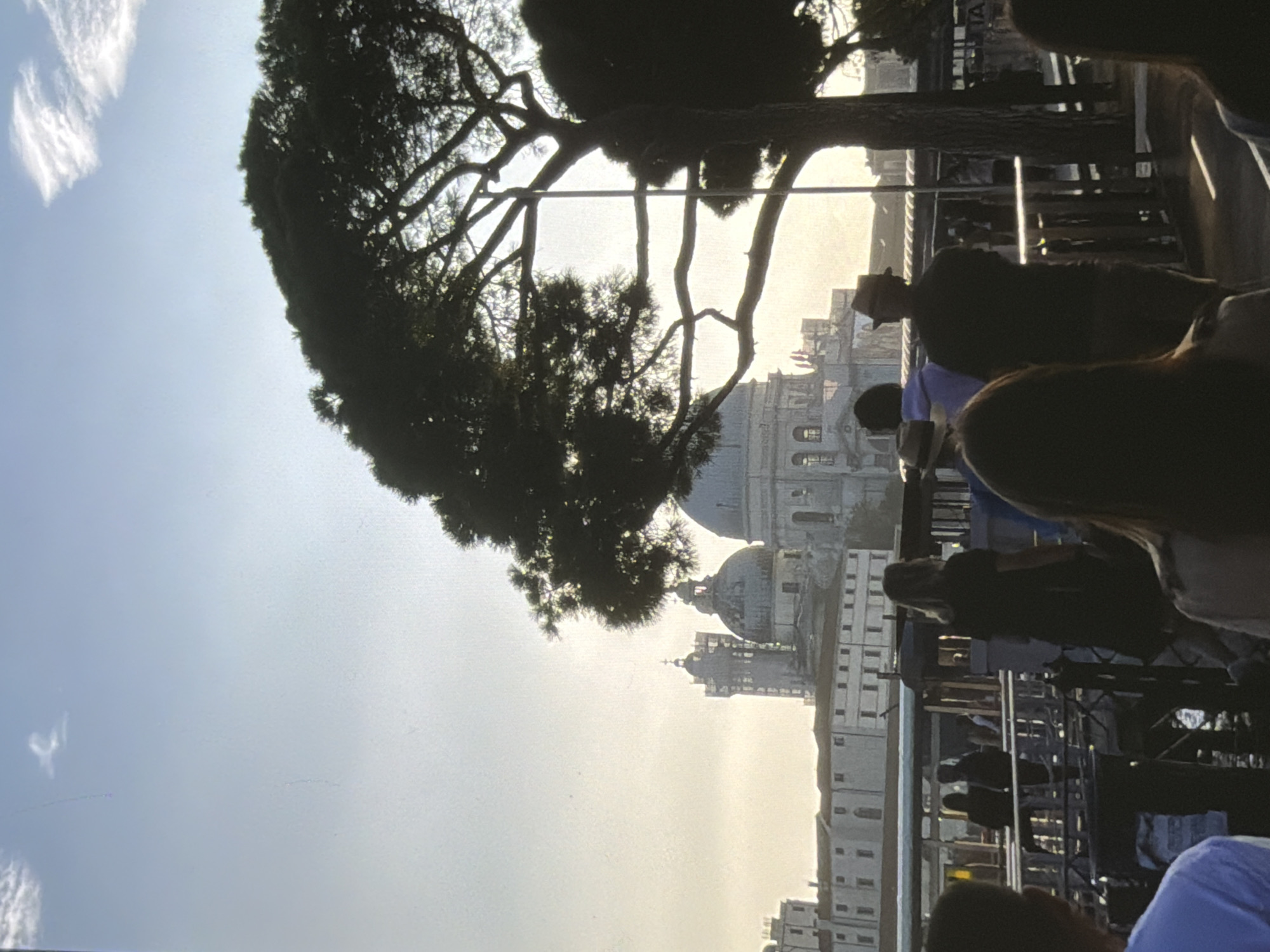 The image is a photograph taken outdoors, rotated 90 degrees counterclockwise. It shows a silhouetted tree in the foreground, its branches reaching across the frame against a bright sky. Behind the tree, a cityscape is visible. The architecture includes domed buildings and structures with multiple windows, suggesting a historical or significant urban area. The sky is clear with a few wispy clouds, indicating a daytime scene, likely late afternoon or early morning due to the soft, warm light casting long shadows and creating a slightly hazy atmosphere.
In the mid-ground and foreground, several people are visible, mostly as silhouettes or partially obscured. They appear to be standing or sitting, possibly on a balcony, elevated walkway, or a boat, looking towards the cityscape. One person in the mid-ground is wearing a hat. The overall impression is one of leisure or sightseeing, with individuals observing the scenery. The lighting and the presence of people suggest a pleasant day for exploration or enjoying a view. No text is visible in the image.