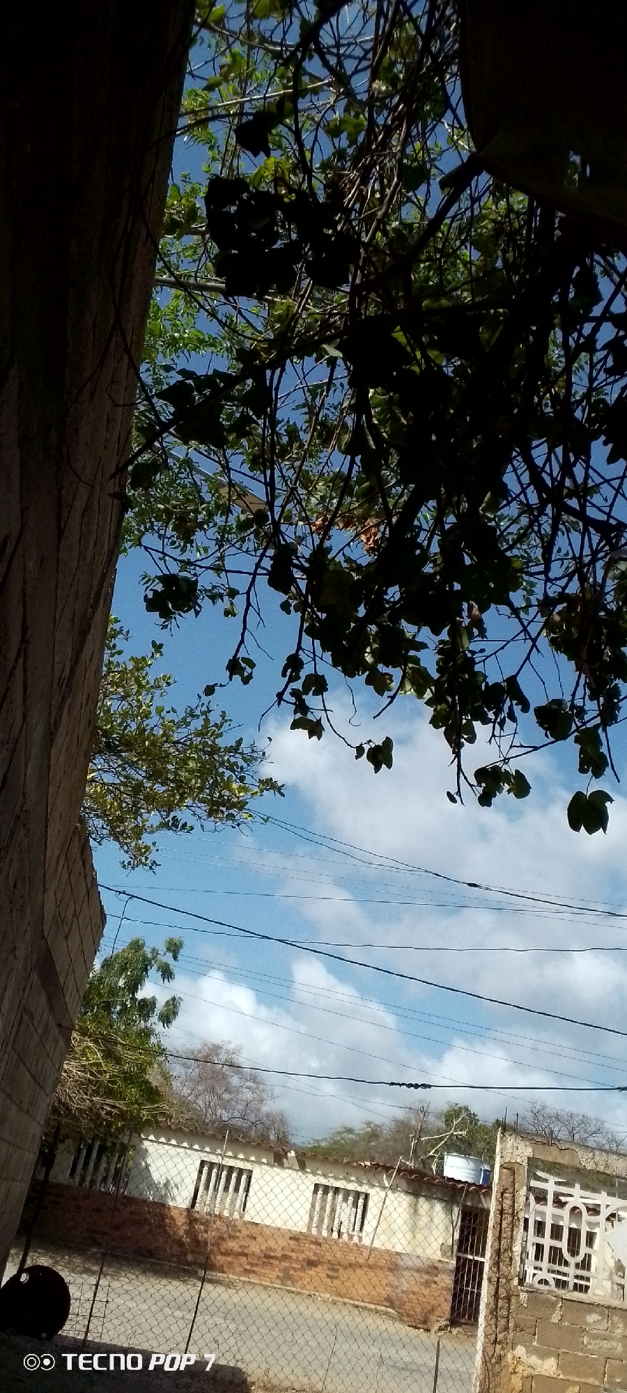 The image, taken in Altagracia, Venezuela, depicts a view looking upward through trees towards a blue sky with scattered white clouds. Several overhead power lines traverse the frame. A tan brick wall is visible on the left. In the distance, partially obscured by a chain-link fence, is a single-story white building with a brick foundation. Part of the camera logo, "TECNOC POP 7" is visible in the lower left corner.