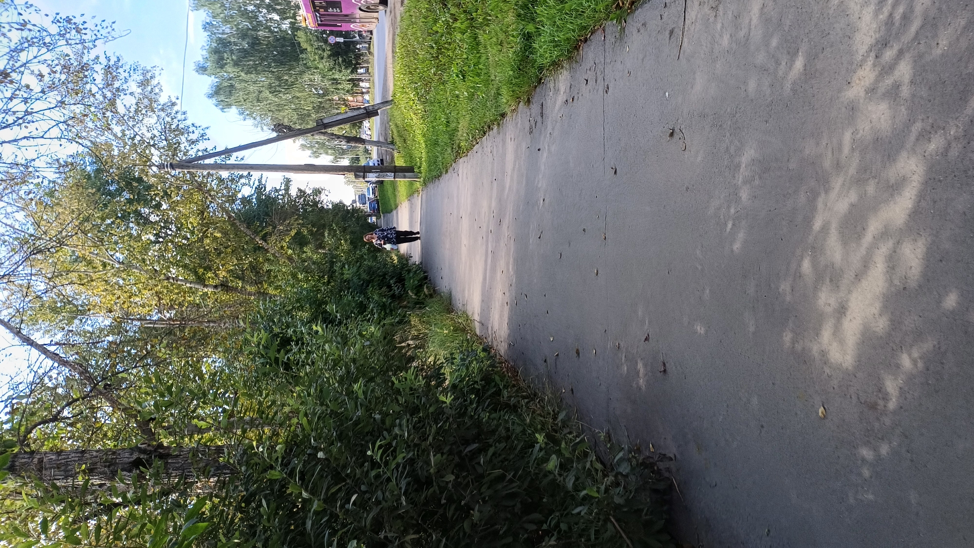 The image depicts a paved sidewalk next to a row of trees and a grassy area. A woman in dark clothing is walking away from the camera on the sidewalk. In the background, there is a road with several cars and a purple bus. A wooden utility pole is also visible on the right side of the image. The scene appears to be a street in Izhevsk, Russia, likely during the daytime given the lighting.