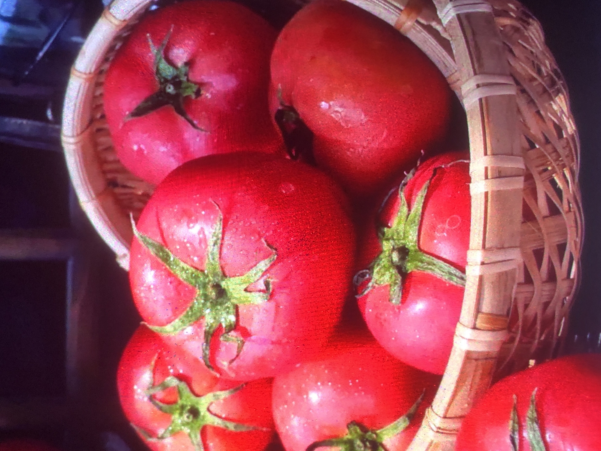 A close-up, slightly blurry, overhead shot shows a woven basket filled with bright red tomatoes. The tomatoes are plump and appear to be wet, with small water droplets visible on their skins. Several tomatoes are visible, some clustered together, with their green stems pointing upwards. The basket has a light brown woven texture and is full, with some tomatoes overflowing slightly. The background is dark and out of focus, obscuring any details of the surrounding environment, and there is no visible signage or context to suggest a specific location within Tashkent, Uzbekistan. No people or actions are depicted in the image.