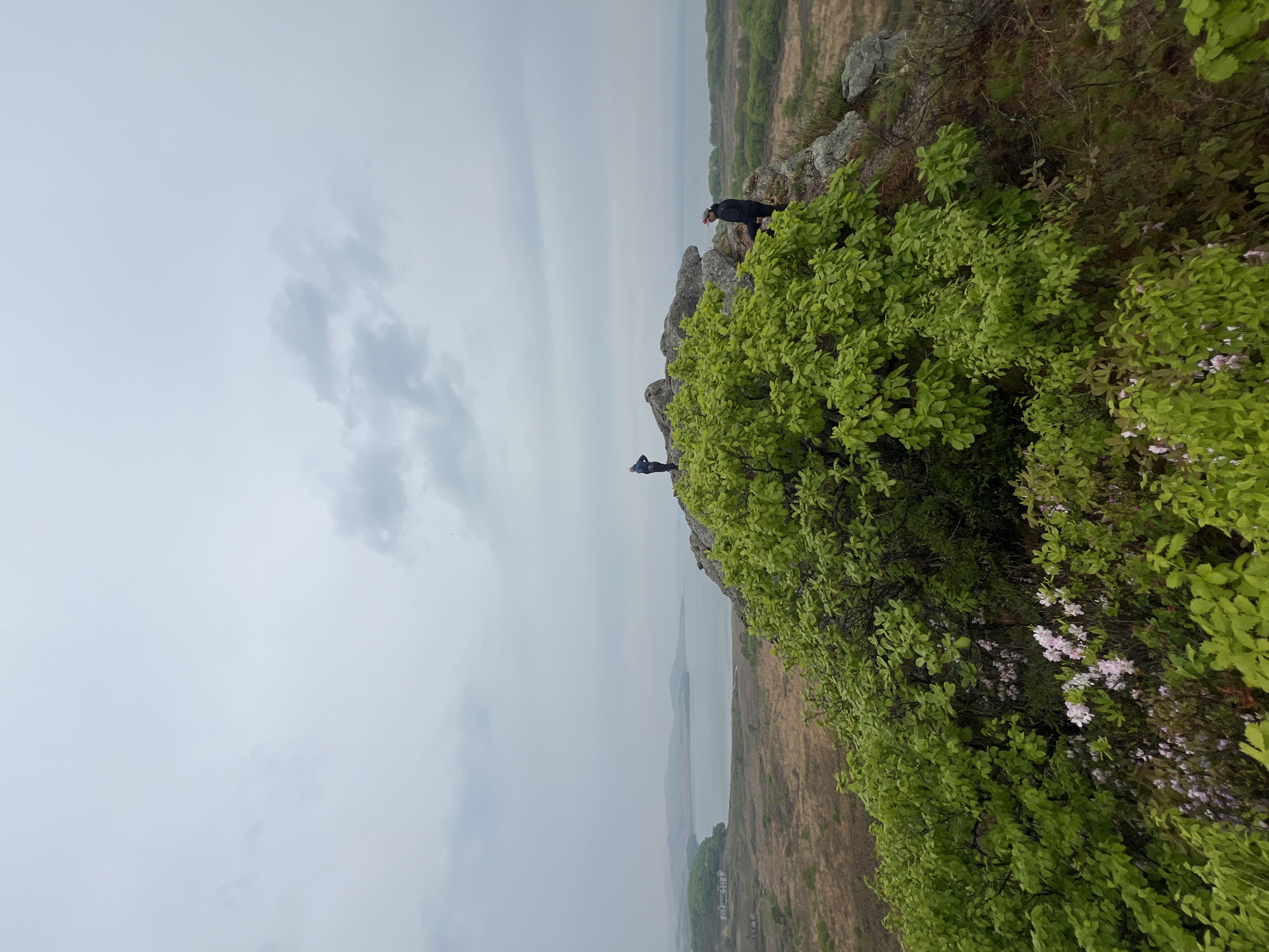 The image captures a landscape scene with two people on a rocky outcrop. The foreground features dense green foliage with a few light pink flowers. One person stands at the edge of the cliff, while another stands further back on the rocks. The environment includes a view of a body of water and terrain characterized by brown and green vegetation. The sky is overcast. The location is indicated as Gvozdevo, Russia.