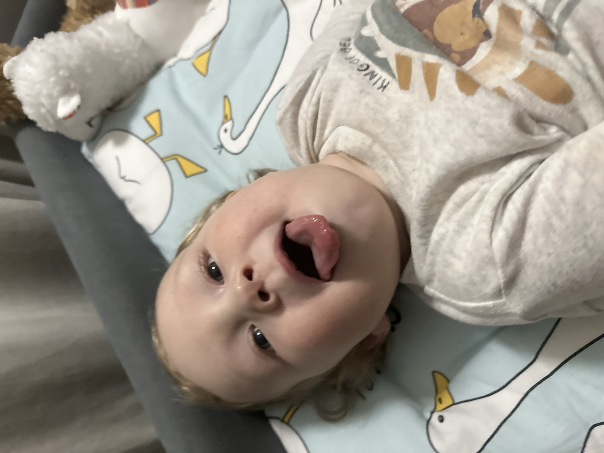 A baby is lying on a blue sheet with a goose pattern. The baby is wearing a light gray shirt with a lion image on it. The baby is sticking its tongue out. A plush toy is next to the baby. The location is unknown and is not confirmed to be Votkinsk, Russia.