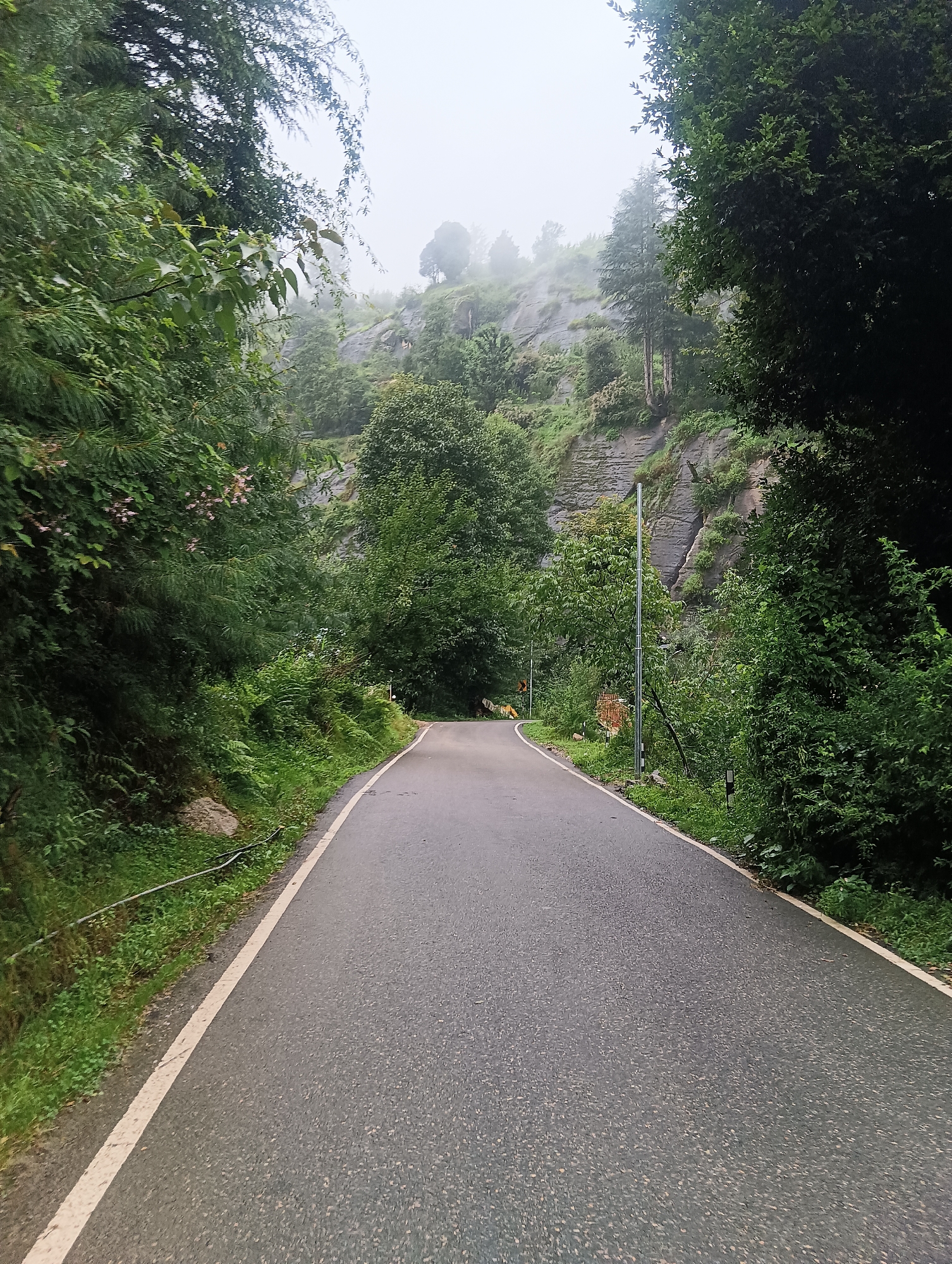 The image shows an asphalt road in the city of Goshal, India. The road curves to the right and is lined with lush green trees and vegetation on both sides. In the background, a steep, rocky hillside is visible, shrouded in mist or fog. The sky is overcast, contributing to the subdued lighting. There are no people or animals clearly visible in the frame. The scene appears to be a natural landscape with a man-made road passing through it.