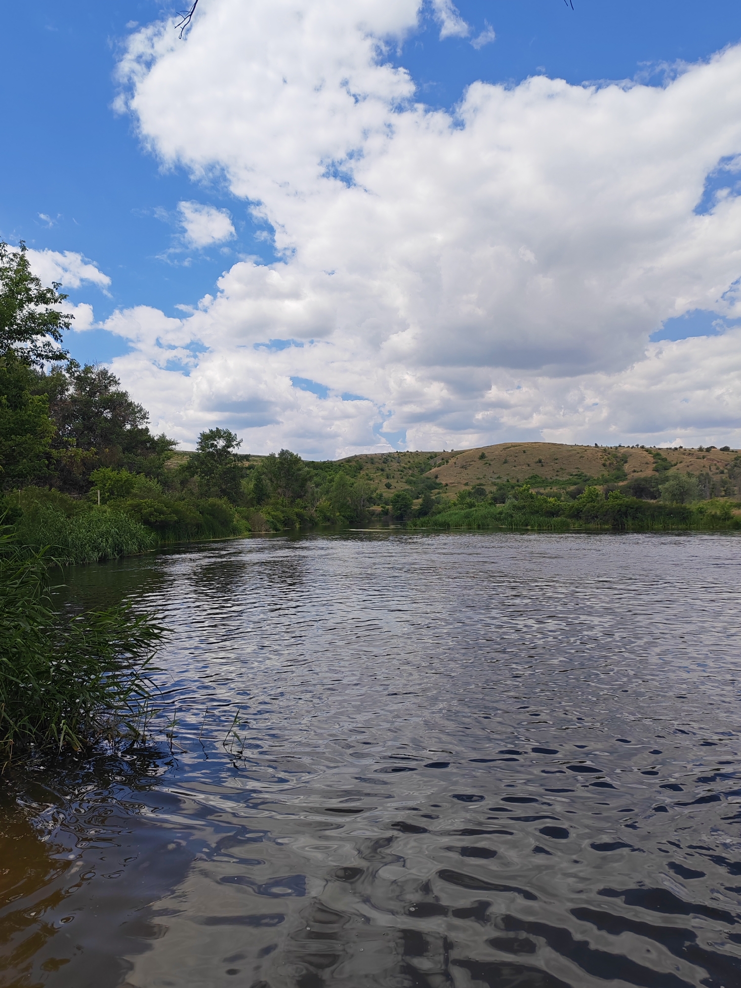The image depicts a serene natural landscape featuring a wide river flowing gently under a bright blue sky dotted with fluffy white clouds. The riverbanks are lush with green vegetation, including tall reeds and trees. In the background, rolling hills covered in dry grass and scattered trees create a picturesque backdrop. The water's surface is slightly rippled, reflecting the sky and surrounding greenery. The scene suggests a peaceful outdoor setting, possibly a rural or natural park area. The location is identified as Krutinskii, Russia. There are no people or animals visible in the frame.