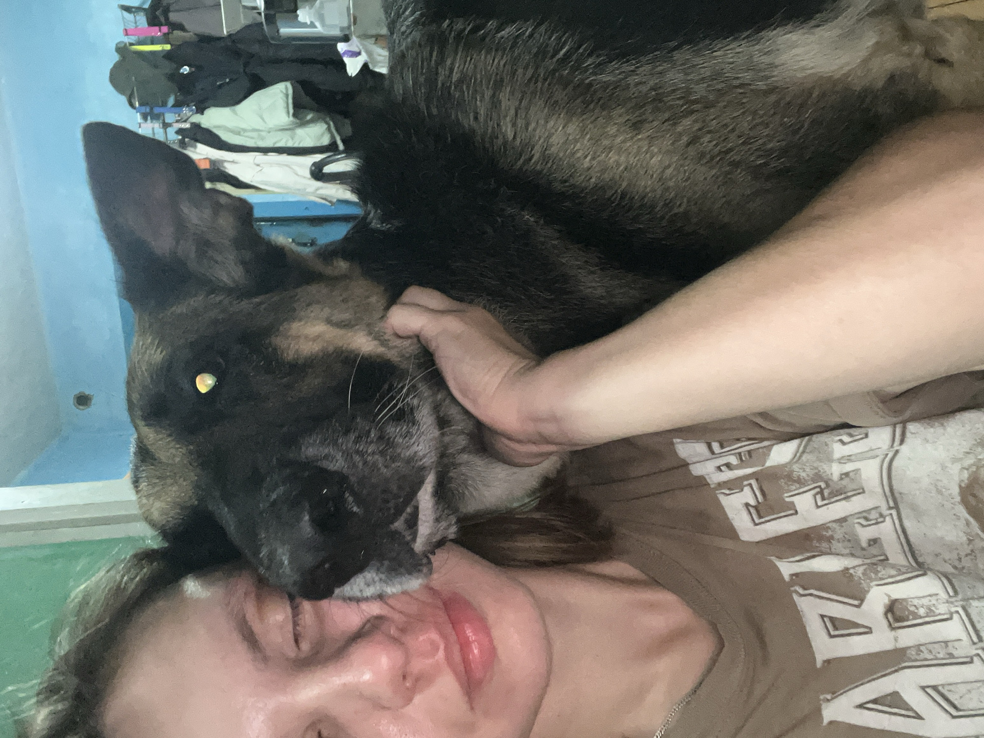 A close-up, indoor selfie features a person with closed eyes and a German Shepherd dog nuzzling their face. The person is wearing a brown t-shirt with white lettering that appears to spell out "HARLEY." The dog has dark fur with lighter markings around its muzzle and ears. The background is cluttered, with a bright blue wall and clothing hanging on a rack. A portion of a wooden floor is visible. The setting appears to be a residential interior. There are no discernible landmarks to indicate the city of Nizhny Tagil, Russia.