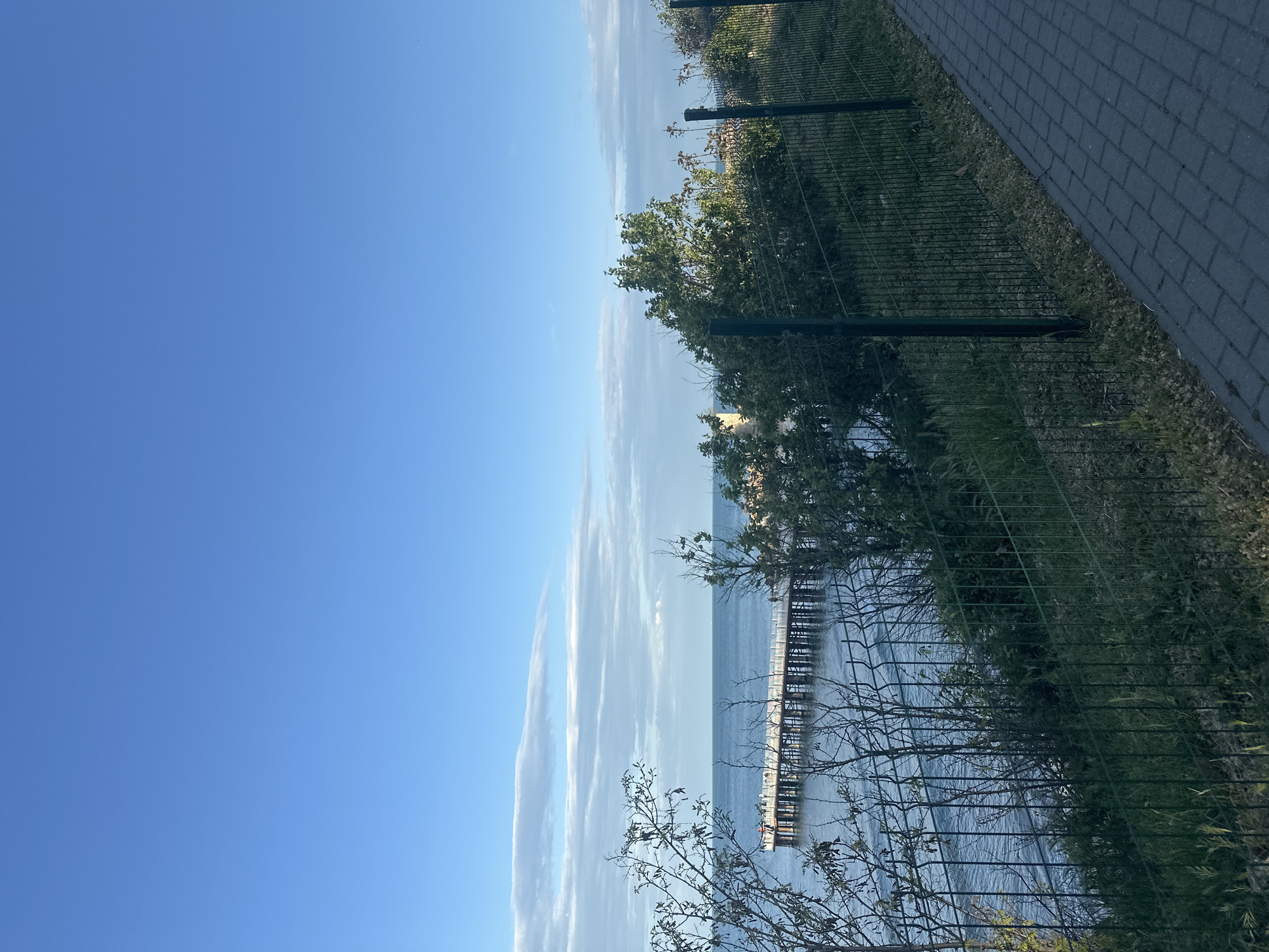 The image shows a view from a raised position in Varna, Bulgaria, looking out toward the Black Sea. A long pier or jetty extends into the water. The sky is blue with streaks of thin clouds. A green mesh fence runs along the right side of the image, partially obscuring the view. Trees and bushes are visible between the fence and the sea. A paved walkway is directly adjacent to the fence on the right. The image is oriented vertically.