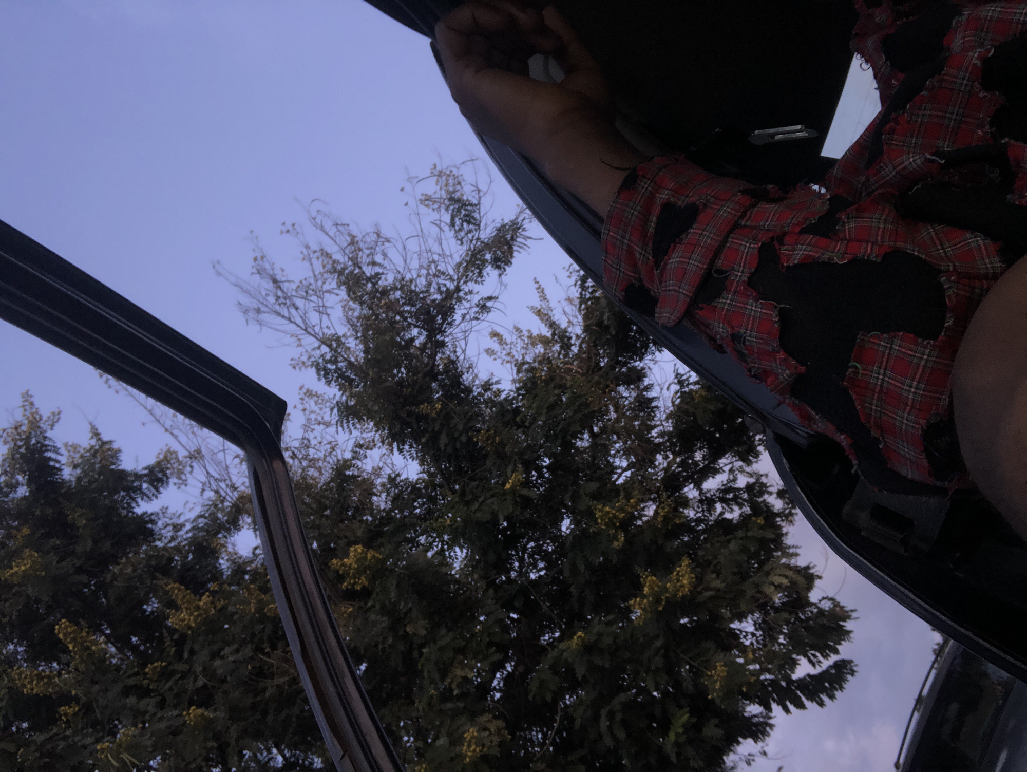 The image presents an upward-angled view from the interior of a vehicle during twilight, with a muted blue-purple sky dominating the upper right. Dense trees with dark green foliage and clusters of small yellowish flora are silhouetted against the sky, primarily in the upper left and central areas. A dark, curved metallic or plastic frame, consistent with a vehicle's door or sunroof opening, runs diagonally from the upper left corner and along the right side of the frame. The right arm, shoulder, and upper torso of an individual with dark skin are visible on the right, partially within the vehicle's dark interior. The individual wears a distressed red and black plaid shirt with multiple tears and exposed dark underlayers. The right hand, with light-colored fingernails, is slightly curled, and a thin dark mark is visible on the forearm. The overall lighting suggests low natural light conditions. Location: Unknown, Unknown.