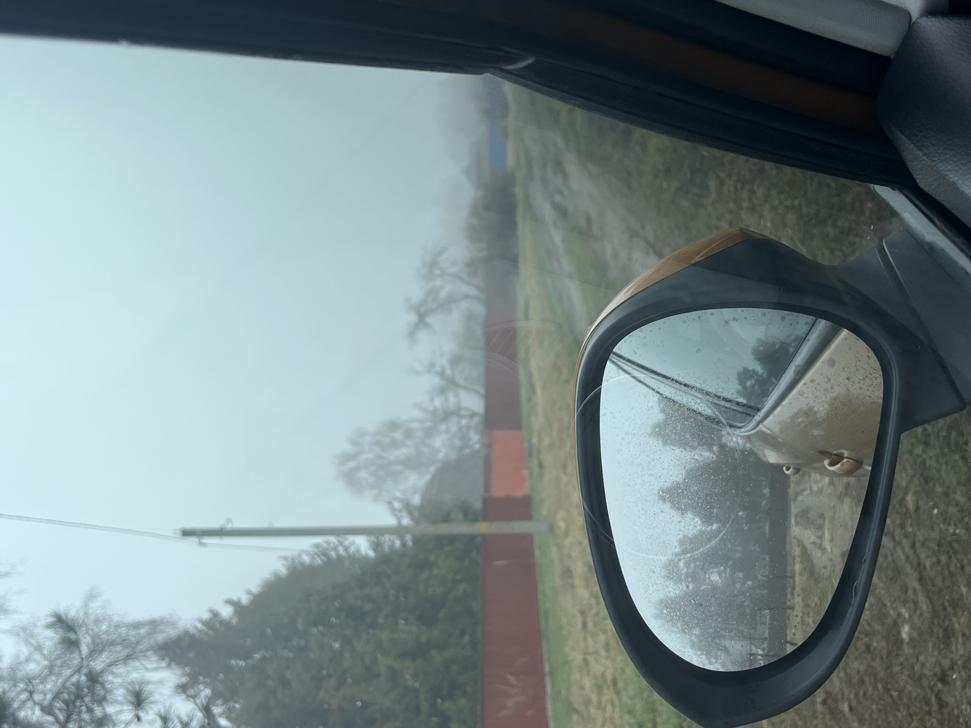 The image appears to be taken from inside a car, possibly in Раздолье, Russia, based on the instructions. The view through the side window shows a foggy or misty exterior. A car's side mirror is prominently featured, reflecting a similar view of the surrounding environment. The environment outside appears to be a rural or suburban area with trees, grass, and possibly a road or path. The presence of power lines and a fence suggest a degree of human development. The fog obscures the finer details of the landscape. The mirror is speckled with water droplets, further reducing visibility. The overall tone is muted due to the weather conditions.