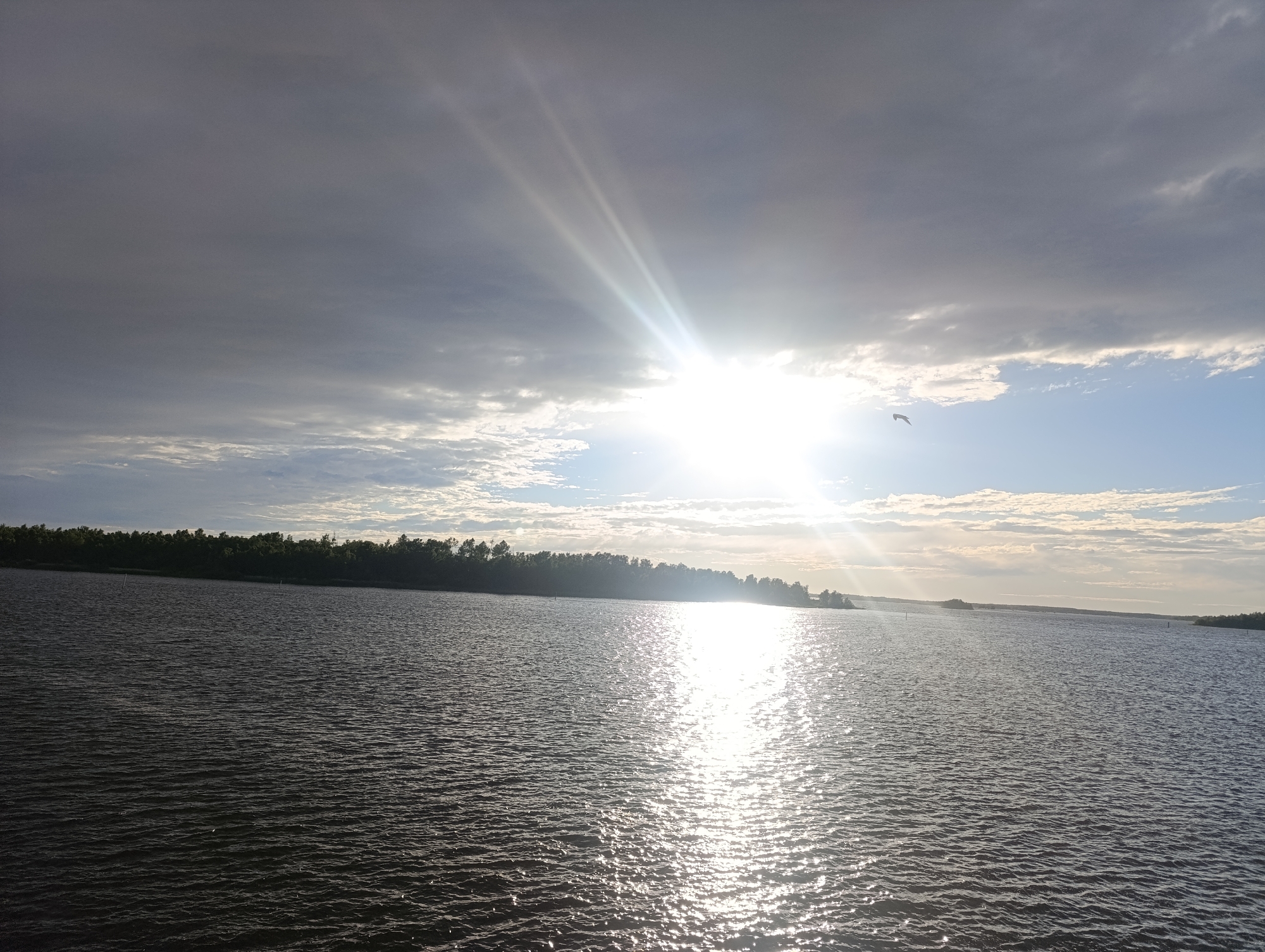 A wide shot captures a serene, natural landscape with a vast body of water in the foreground and a tree-lined horizon under a cloudy sky. The sun is prominently featured, breaking through the clouds and casting brilliant rays that reflect intensely on the water's surface, creating a shimmering effect. A lone bird is visible in flight against the bright sky. The image depicts a calm and picturesque environment, likely during daylight hours, with no people or man-made structures immediately apparent, suggesting a remote or natural setting. The location in Jakobstad, Finland, evokes a sense of the Nordic wilderness and the vastness of its water bodies, possibly a lake or coastal area.