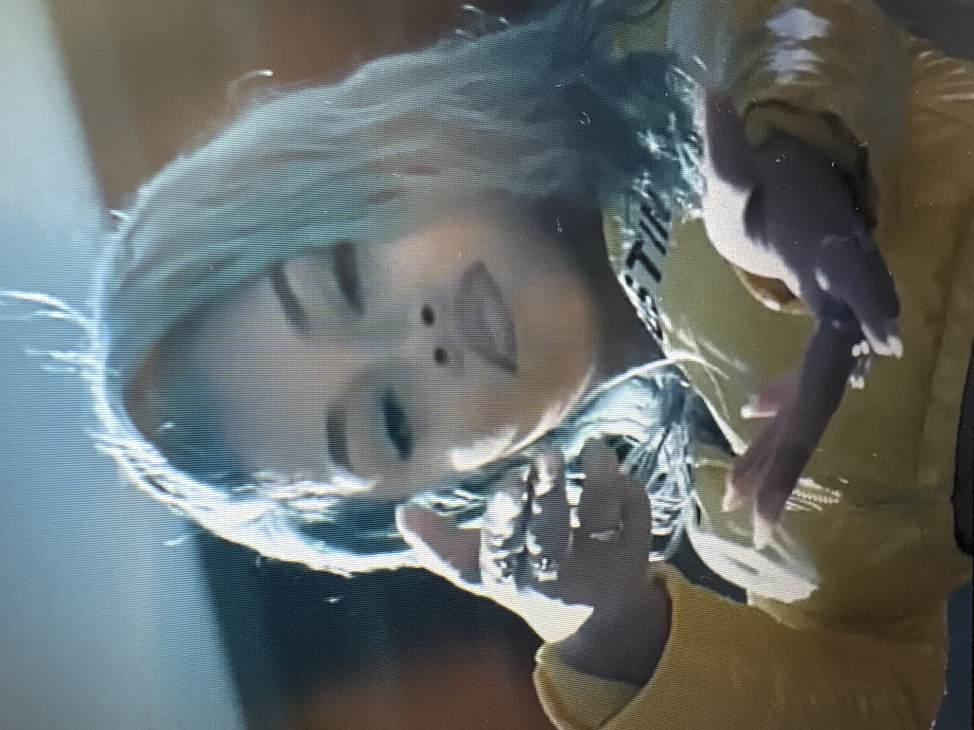 The image shows a close-up of a woman with light blue hair wearing a yellow jacket. She is holding her hands up, with her left hand near her ear and her right hand extended forward. Her facial expression is obscured by the focus and lighting. The background is blurry and appears to be outdoors with some brown and blue tones. There is no discernible location in Sofia, Bulgaria.