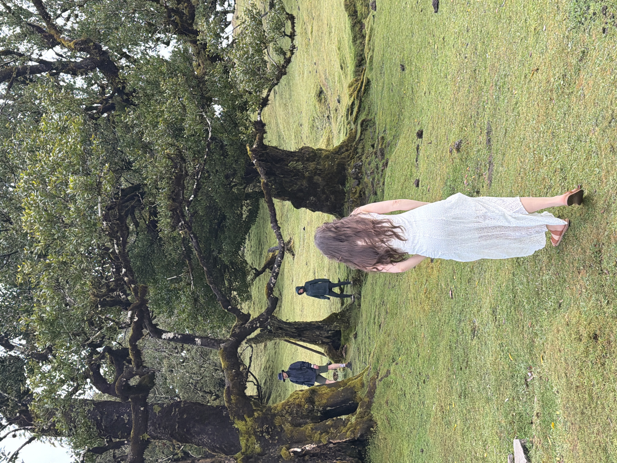 The image shows a landscape in Porto Moniz, Portugal, featuring a woman in a light-colored dress walking on a grassy area. The scene includes twisted, moss-covered trees typical of the area. Two other individuals are present in the background, one wearing a dark jacket and another with a hat. The environment is green with grass and trees.
