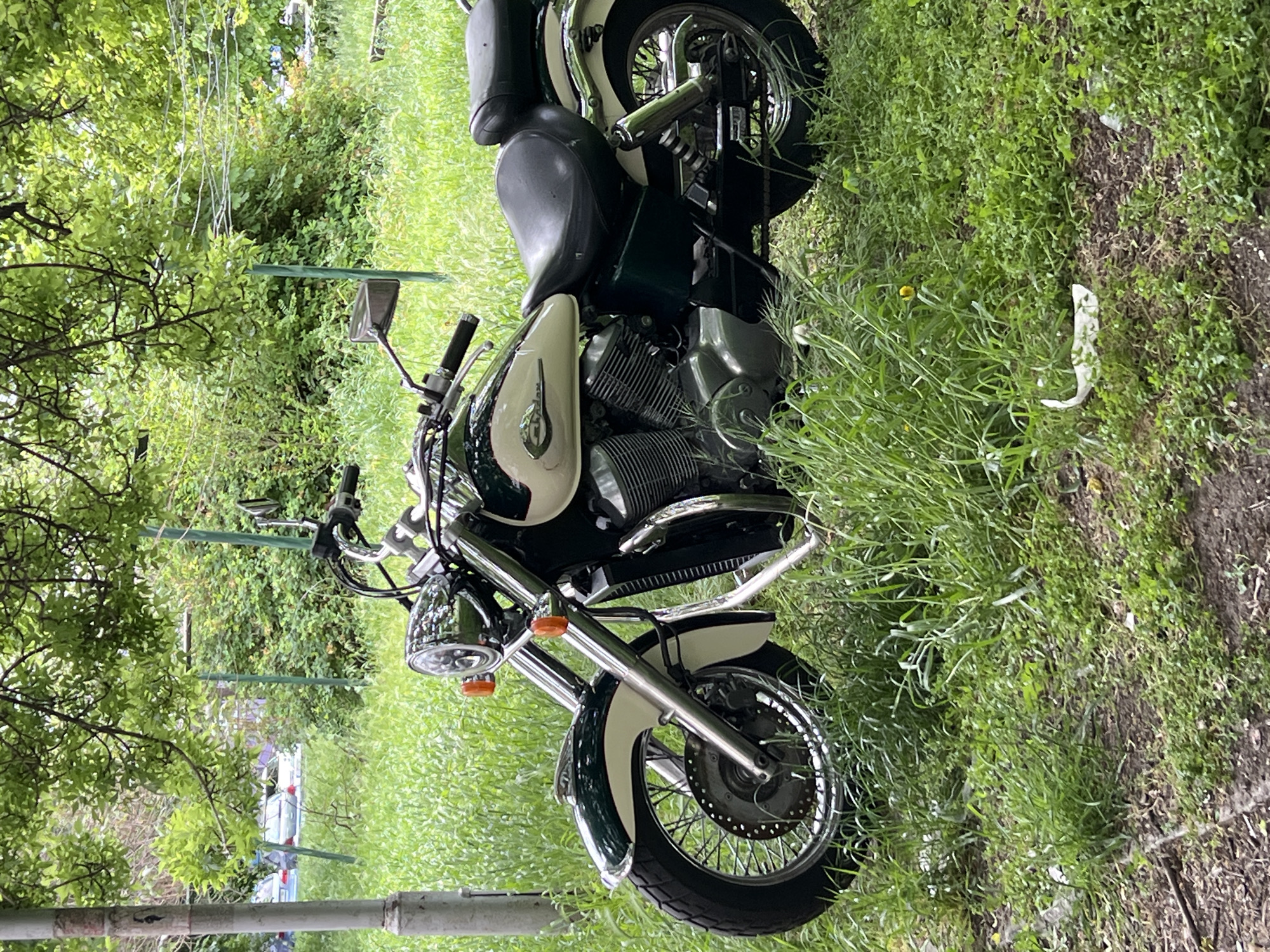The image depicts a motorcycle parked in a grassy area that appears unkempt. The motorcycle is dark green and white, with chrome accents. It is surrounded by grass and foliage, suggesting a natural or overgrown setting. A tree branch and foliage partially obscure the view of the background. There are hints of a fence and possibly a building in the background, but these are indistinct. The picture seems to be taken in daylight. The image provides no clear indication of a specific location in Burgas, Bulgaria, or any information about people or actions.