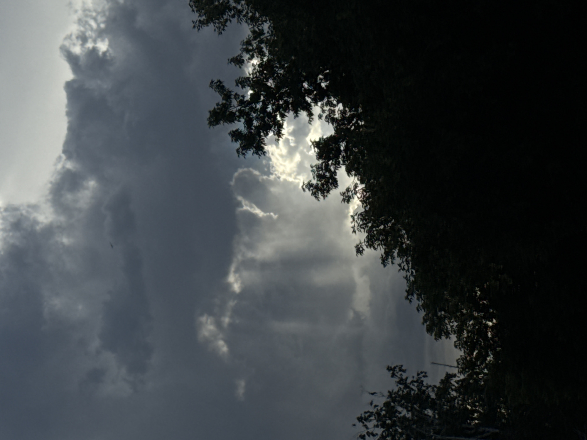 This media file is a photograph of a cloudy sky with trees in the foreground. The sky is dark and overcast, with shafts of sunlight breaking through the clouds, creating a dramatic effect. The trees are silhouetted against the sky, their branches and leaves creating a dark fringe at the top and right edges of the frame. The overall mood of the image is somber and atmospheric, with a sense of impending weather. The location is identified as Pavlodar, Kazakhstan. The time of day is unclear due to the overcast conditions, but the quality of light suggests it could be late afternoon or early evening. There is no text visible in the image.