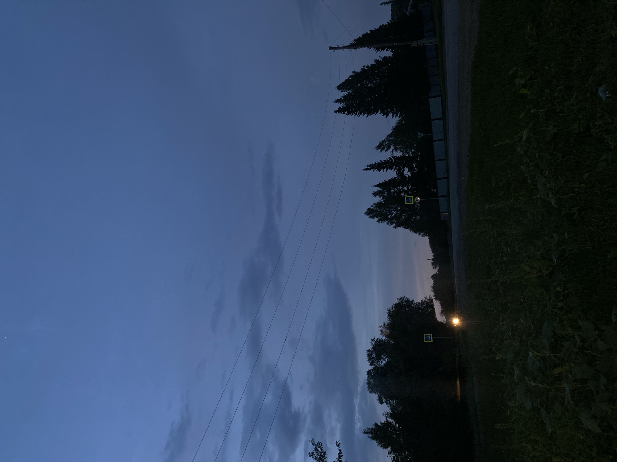 The image depicts a rural scene at dusk in Anton'evka, Russia. A dark blue sky with scattered clouds dominates the upper portion of the frame, with power lines stretching horizontally across it. Silhouetted trees and evergreen trees form a dark band across the mid-ground. In the distance, a road is visible with a yellow pedestrian crossing sign. A single, bright light source, possibly headlights from a vehicle, illuminates the area near the sign. The foreground is covered in tall, dark green grass. The overall atmosphere is subdued and quiet, characteristic of twilight in a rural setting.