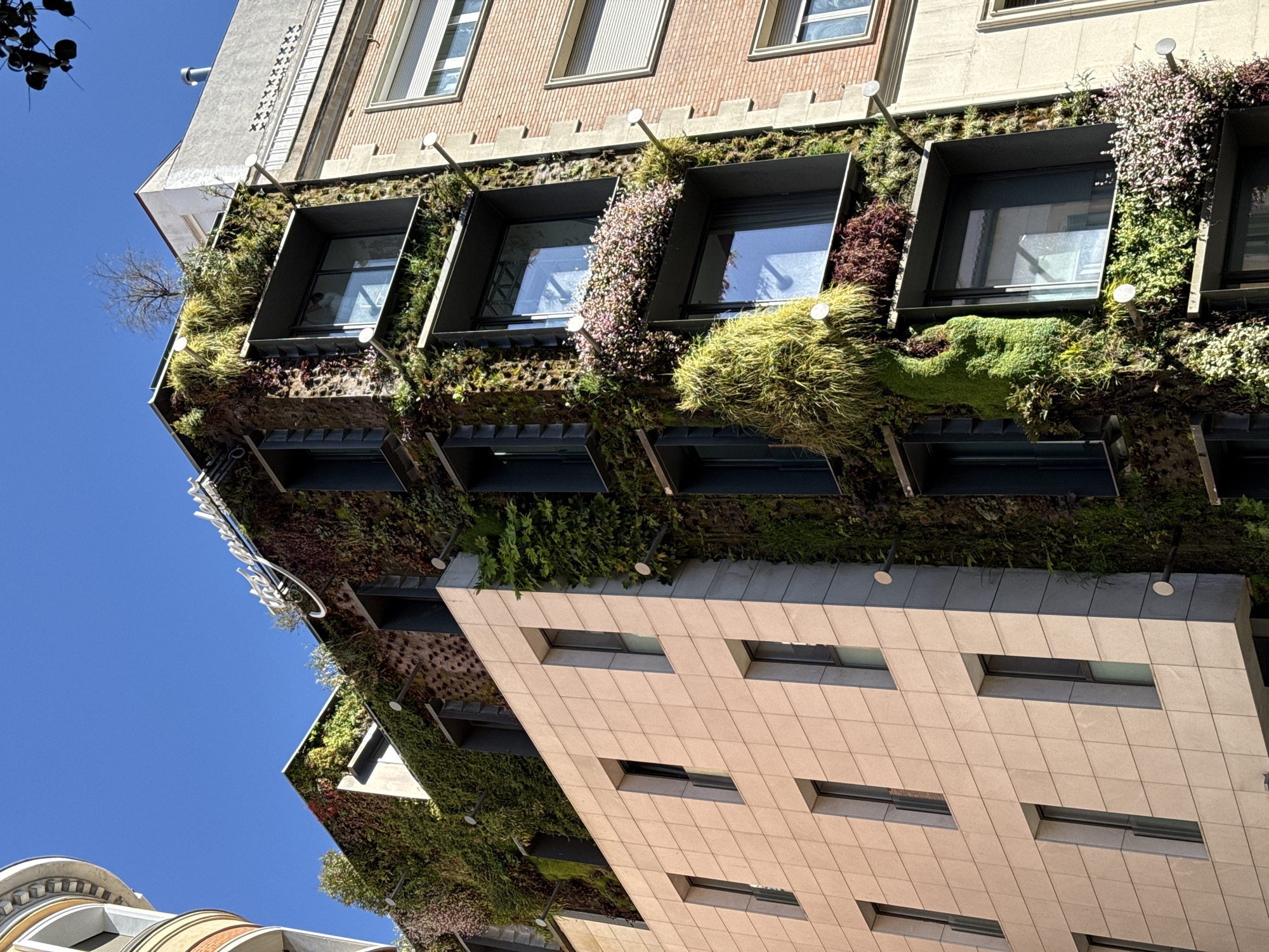 A low-angle shot reveals a portion of a building, likely in Madrid, Spain, characterized by its distinctive integration of nature with architecture. The building features a "living wall," where various plant species densely cover the facade around and between windows. The plants include mosses, grasses, small flowering plants, and shrubbery. The windows are framed by dark, rectangular structures and reflect the clear blue sky.
The building's facade is divided into sections with different materials: a brick section with classic windows, a section with a vertical garden, and a more modern section with flat, rectangular windows set into a light-colored tile facade. The sky provides a clear blue backdrop, and elements of other buildings are partially visible at the bottom left.
