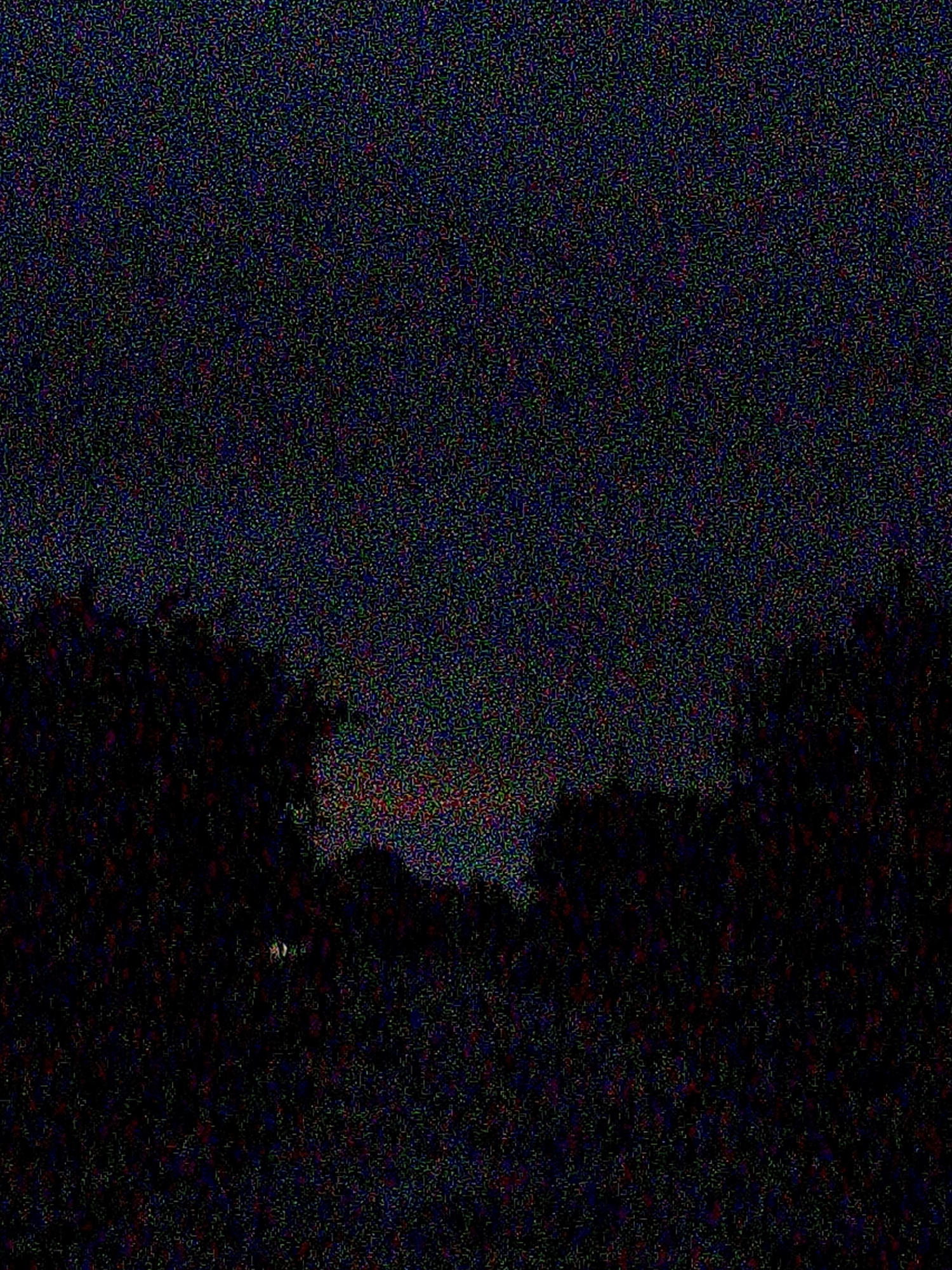 The image depicts a dark, grainy scene, likely taken at dusk or night. Silhouetted foliage forms a dark band across the bottom of the frame. Above the foliage, the sky is a dark, mottled blue with hints of faint color, suggesting low light conditions. There are no discernible people, subjects, or specific objects clearly visible due to the darkness and image noise. The overall impression is one of an outdoor environment, possibly a wooded area or park within a city, given the mention of Ustyvytsia, Ukraine.