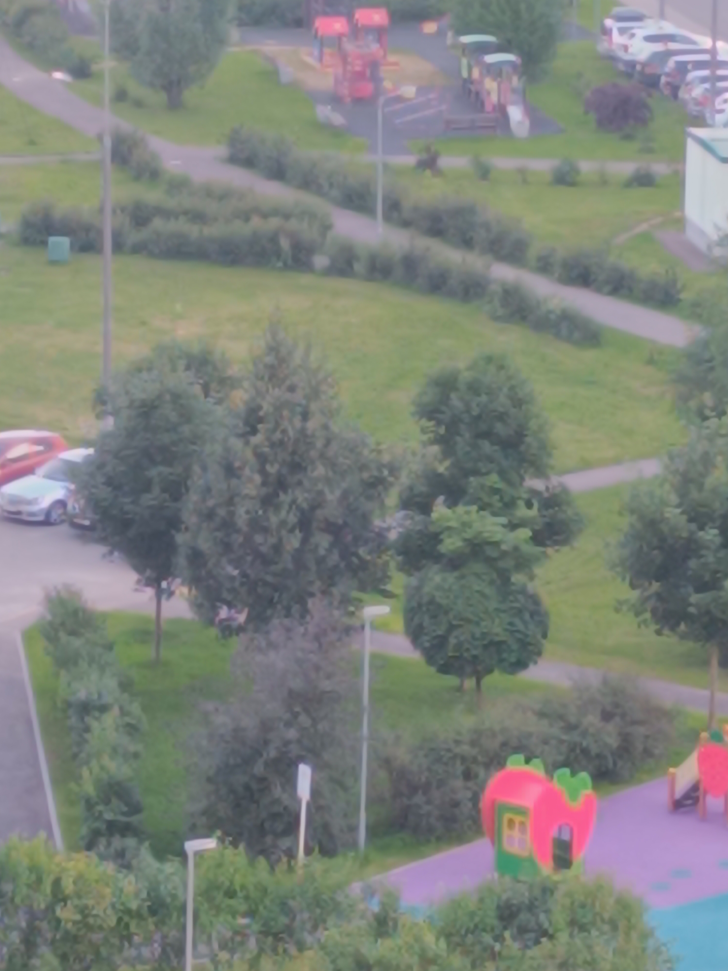 This is an aerial, daylight photograph of a residential area in Zelenograd, Russia. The scene depicts a park with a playground, grassy areas, trees, and a parking lot with several cars. In the foreground, there is a strawberry-shaped playhouse and a slide. The background shows a playground with red and yellow structures, a path, and a row of parked cars. The overall impression is that of a typical urban park setting.