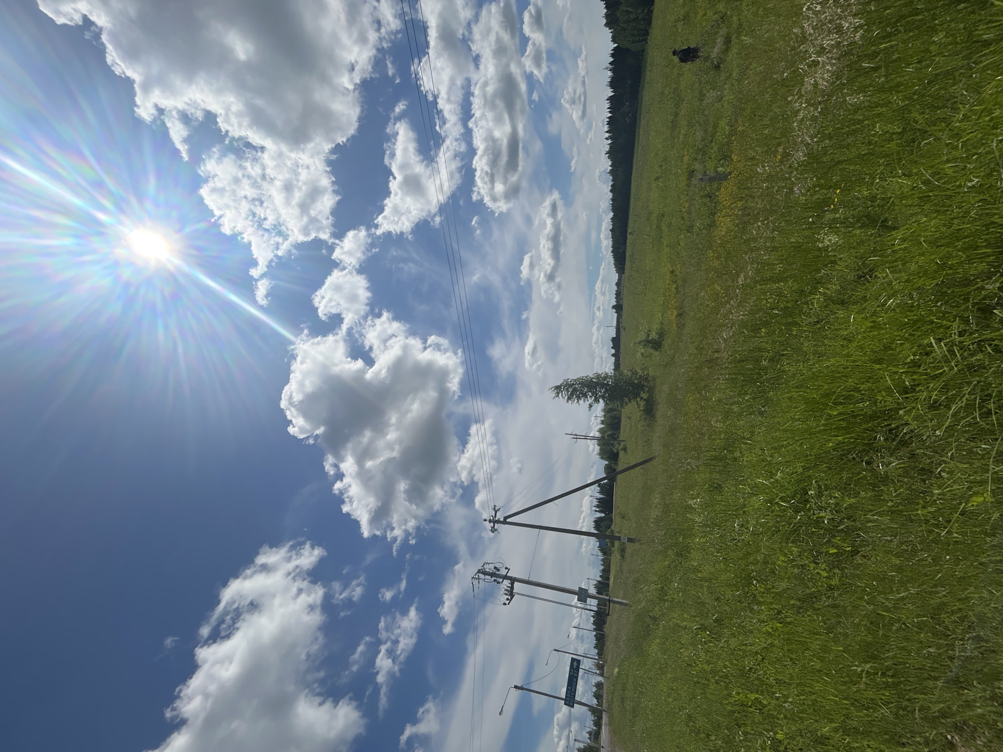 The image depicts a sunny day in the city of Shabury, Russia, with a vast expanse of green grass under a bright blue sky filled with fluffy white clouds. The sun is shining intensely, creating a lens flare effect. In the foreground, tall grass dominates the landscape. Several power poles with electrical wires are visible, along with a road sign on the left indicating directions. A person in dark clothing can be seen in the distance on the right, walking across the grassy field. A dense line of trees forms a natural border in the background.