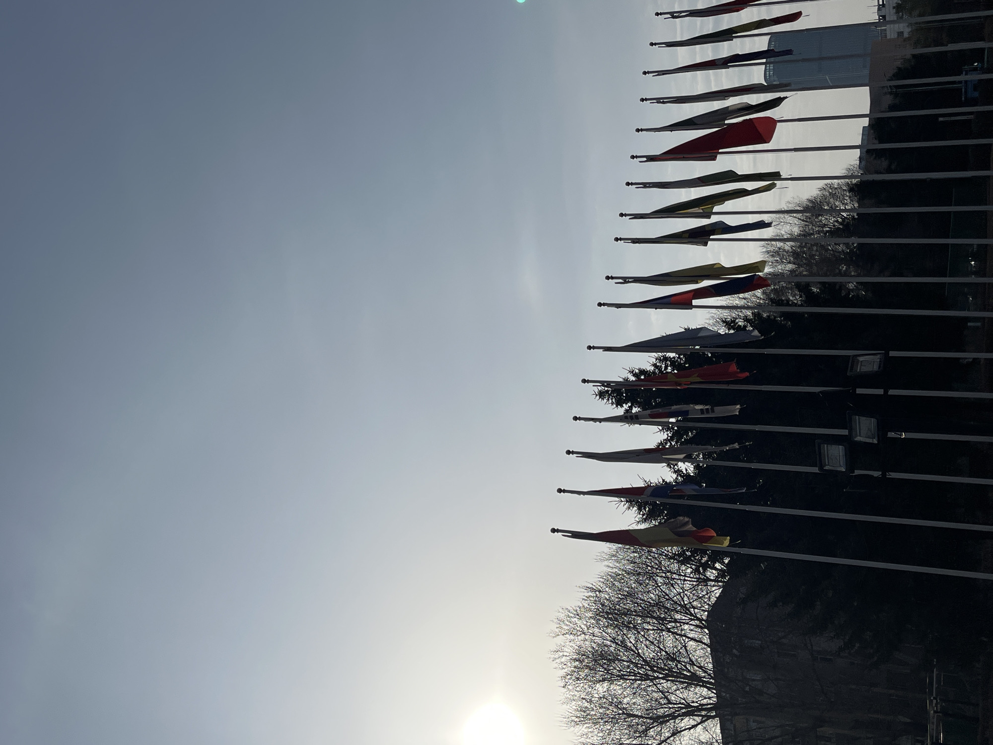 The image shows a row of flags on flagpoles, presumably national flags, against a light blue sky. Some of the flags are identifiable by their colors, but their exact nationalities cannot be determined without more detail. Behind the flags, there are bare trees, and a blurred building can be seen in the background. The sun is shining brightly at the bottom of the image. Considering the information that the image is taken in Changchun City, China, it is possible that this flag display is associated with a diplomatic or international event or institution in the city.