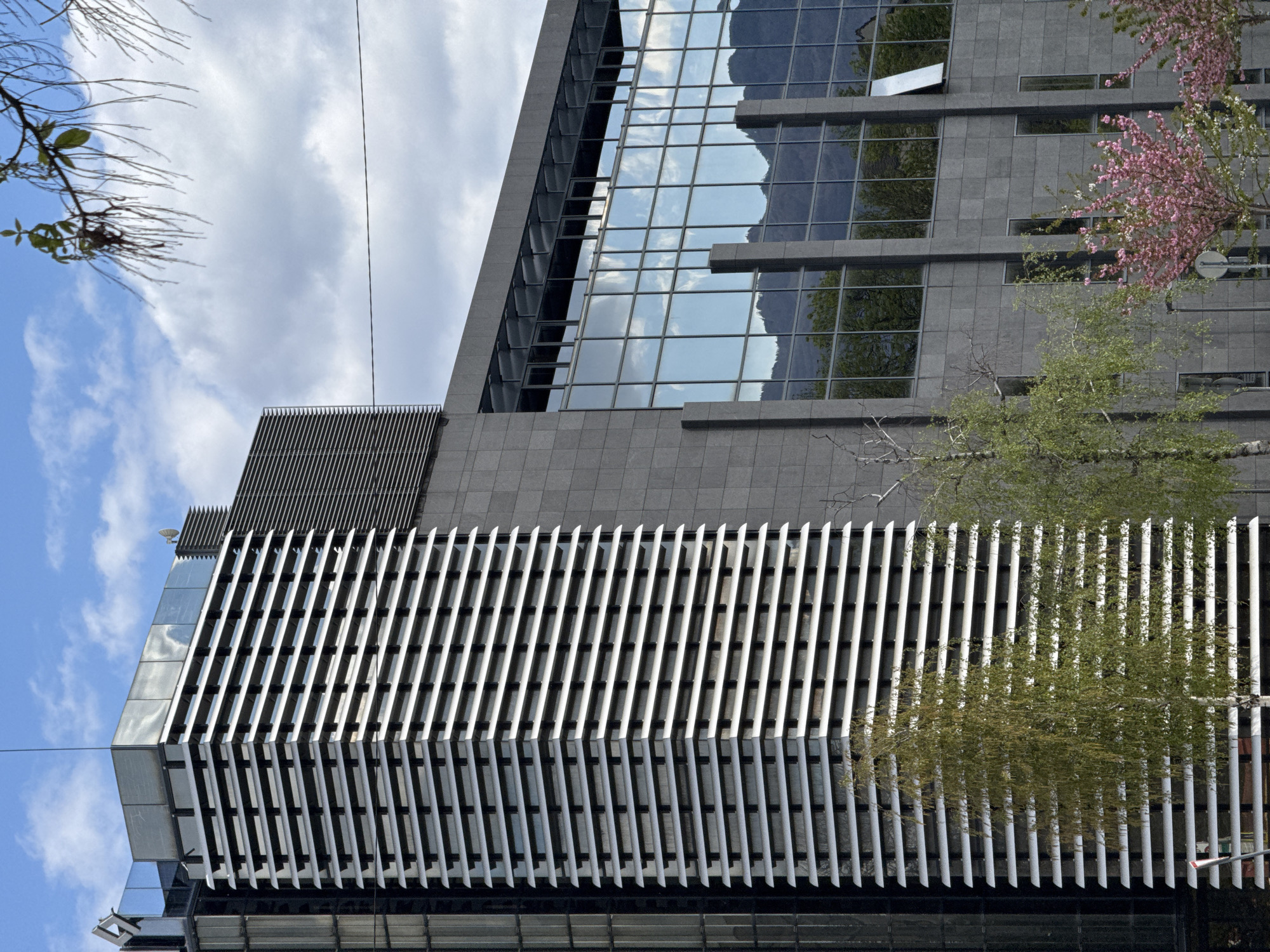 This image captures a modern, multi-story building in Sofia, Bulgaria, featuring a distinctive architectural design. The building's facade combines dark gray stone cladding with large, reflective glass windows. A prominent section of the building is adorned with numerous vertical white fins or louvers, creating a textured and patterned surface.
The extensive glass windows on the upper floors vividly reflect the surrounding environment. Clear reflections of majestic mountains, along with patches of blue sky and white clouds, are visible in the glass, suggesting the building's integration with the natural landscape, possibly Vitosha Mountain. One window on an upper floor appears slightly open.
Various trees and branches frame parts of the building. To the left, branches with sparse green leaves are visible against the sky. On the right side of the building, a tree with vibrant pink blossoms, likely cherry or almond, adds a striking touch of color. Other green foliage can be seen near the base and middle sections of the building, partially obscuring the structure.
The scene is set during the daytime under a bright, partly cloudy sky. Thin utility wires or cables are faintly visible stretching across the sky. There is no human activity or visible text within the frame. The image presents a blend of contemporary urban architecture and natural elements.