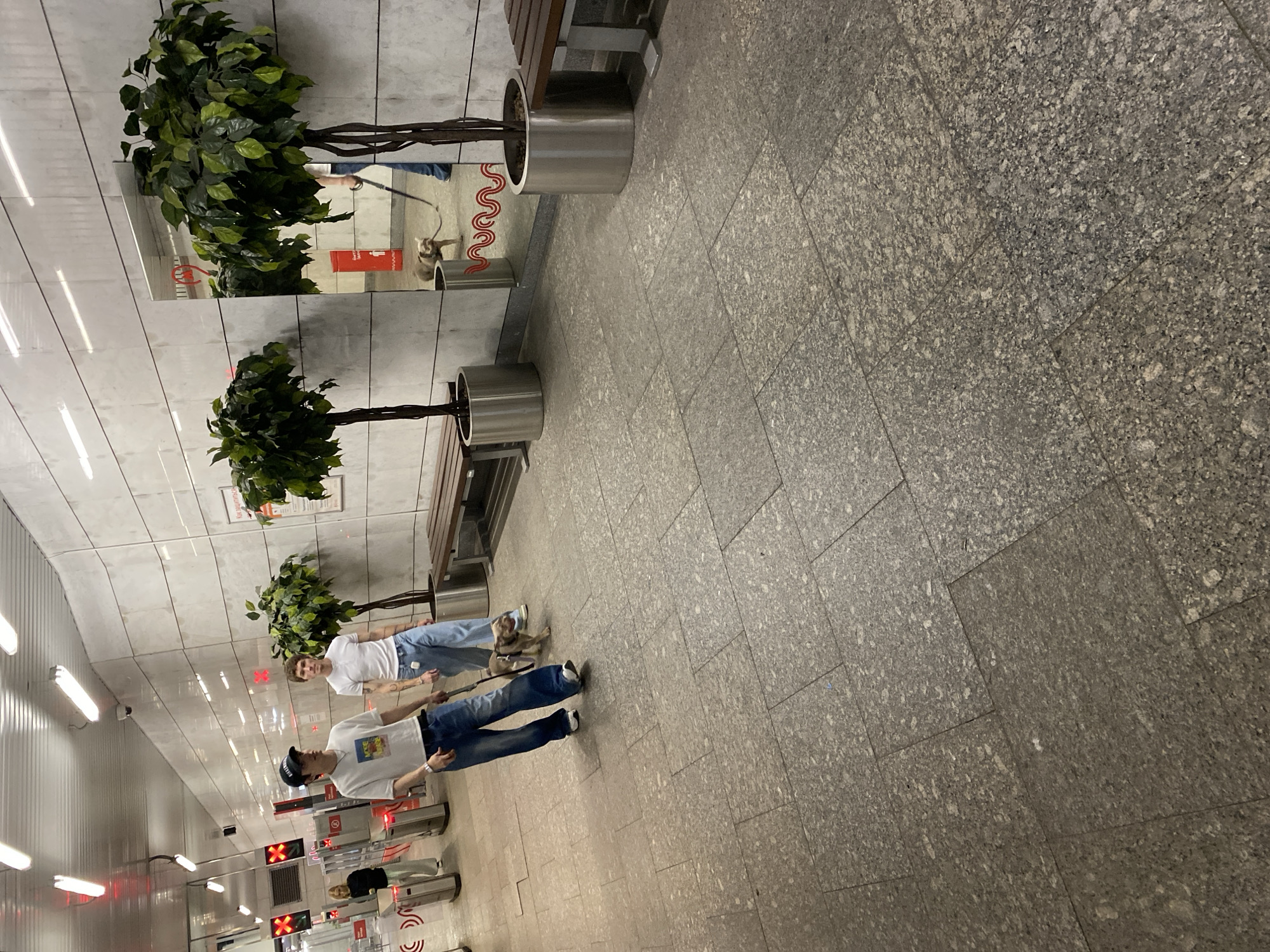 The image depicts a scene in a subway station in Moscow, Russia. In the foreground, the floor is paved with large, speckled gray tiles. Two young men are walking through the station. The man on the left is wearing a white t-shirt with a graphic print, a black baseball cap, and baggy blue jeans. He is holding a dog on a leash. The dog appears to be a light brown terrier mix. The man on the right is wearing a white t-shirt and light blue jeans. He is walking slightly behind and to the right of the first man.
Further in the background, there are ticket gates with red "X" symbols, indicating they are closed or for staff use. A woman in a dark top and light pants is visible walking through one of the gates on the far left. The walls of the station are tiled with white, rectangular panels, and there are large mirrors on the right side of the image. Two artificial trees in large silver planters are placed strategically in the station, one to the left and one to the right of the walking path, near benches. The lighting appears to be from fluorescent tubes overhead.