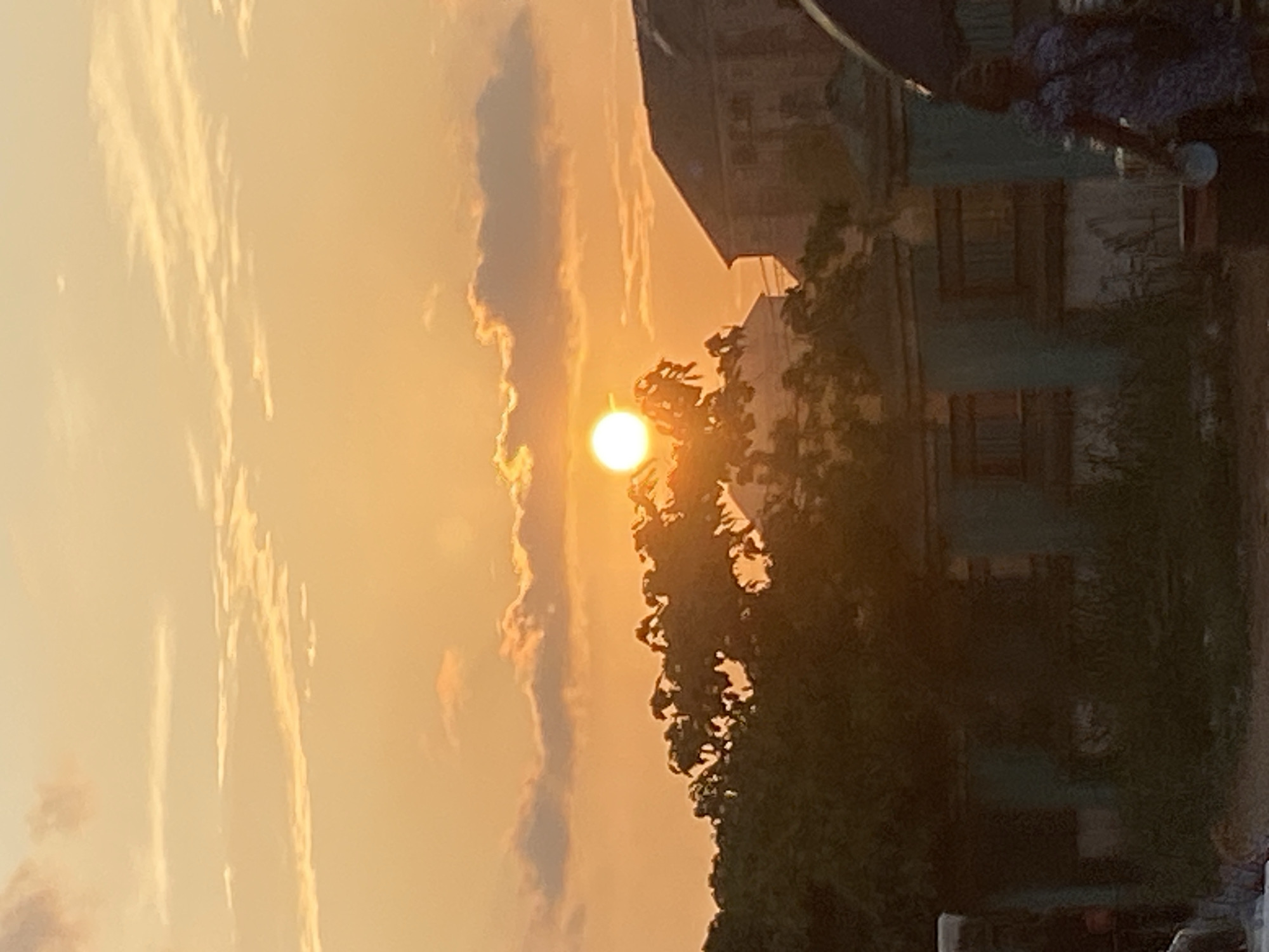 The image depicts a sunset scene in Abakaliki, Nigeria, casting a warm orange glow over the sky. The sun, a bright orb, is positioned centrally, slightly above a cluster of dark green trees. Wispy clouds are scattered across the sky, illuminated by the setting sun. In the background, several buildings with dark roofs are visible, suggesting an urban or semi-urban setting. In the foreground, a person wearing a blue patterned dress is seen from behind, holding a light-colored object, possibly a bowl. The overall impression is that of a peaceful evening in a Nigerian city.