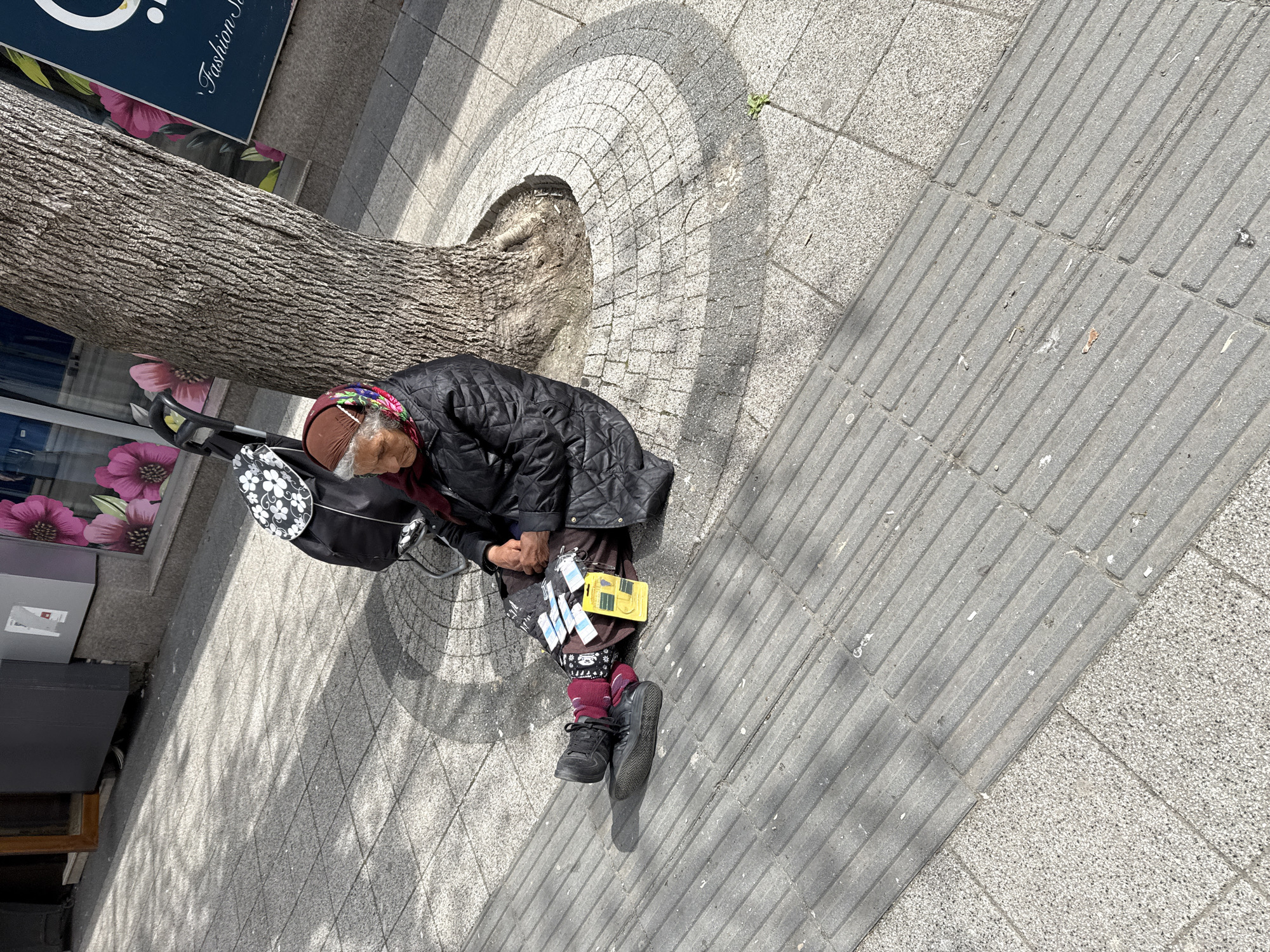 An elderly woman sits on a sidewalk beside a tree in Pleven, Bulgaria. She is wearing a dark quilted jacket, patterned headscarf, maroon leggings, and black sneakers. Beside her is a black tote bag with a white flower pattern, attached to a frame with wheels. The sidewalk is constructed of patterned paving stones with tactile paving designed for the visually impaired. The trunk of the tree is visible, adjacent to a storefront window displaying pink flowers and the word "Fashion". The woman is holding items in her hands, including tags and a yellow object.