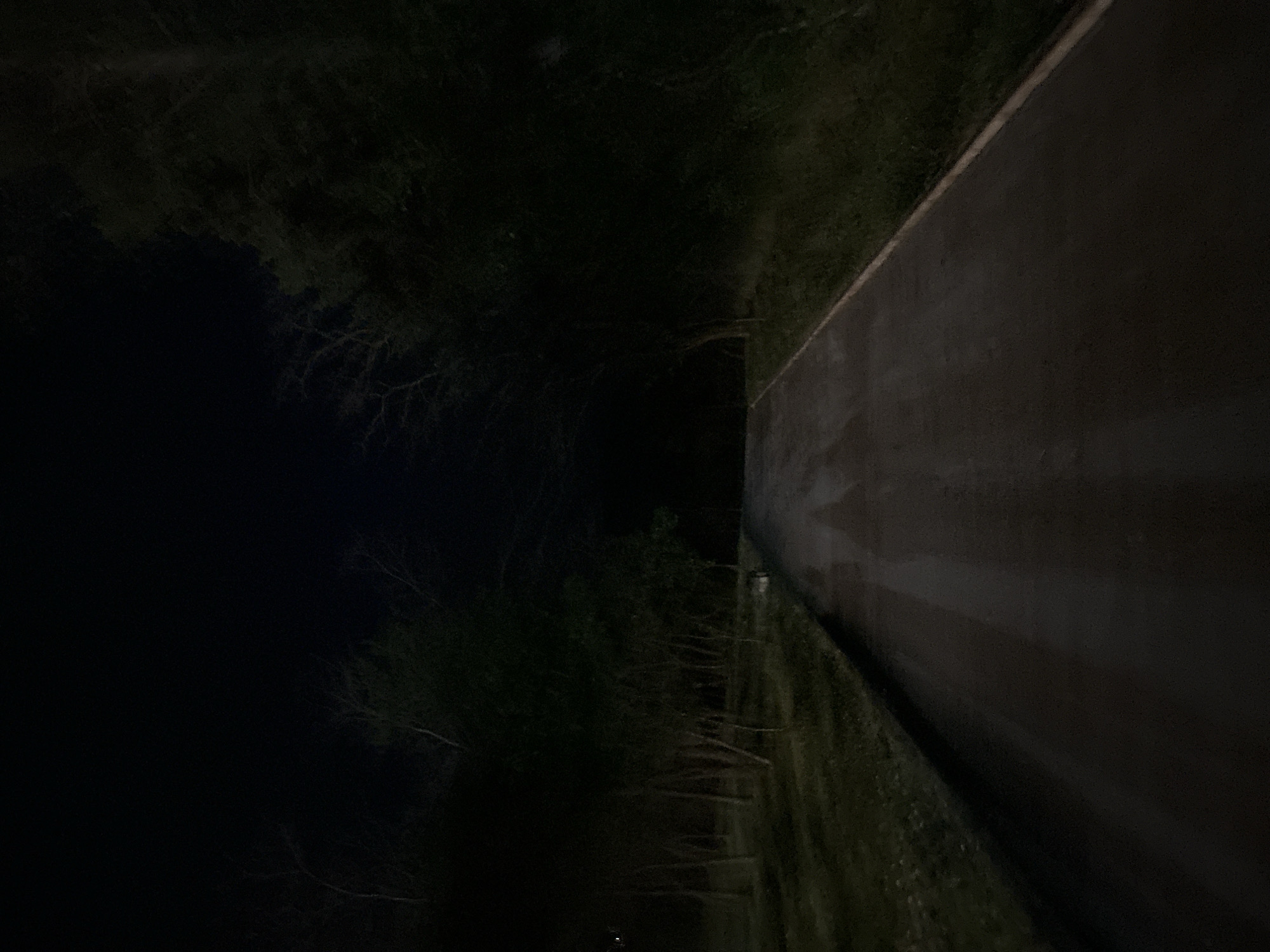 The image depicts a dark, nighttime scene with a paved surface occupying the right half of the frame. The surface appears wet, reflecting ambient light. To the left of the paved surface is a dark area containing foliage, possibly trees, creating a stark contrast. The image does not provide specific details to determine the exact location within the city of Unknown, Unknown. There are no discernible people, actions, or interactions captured in the frame.